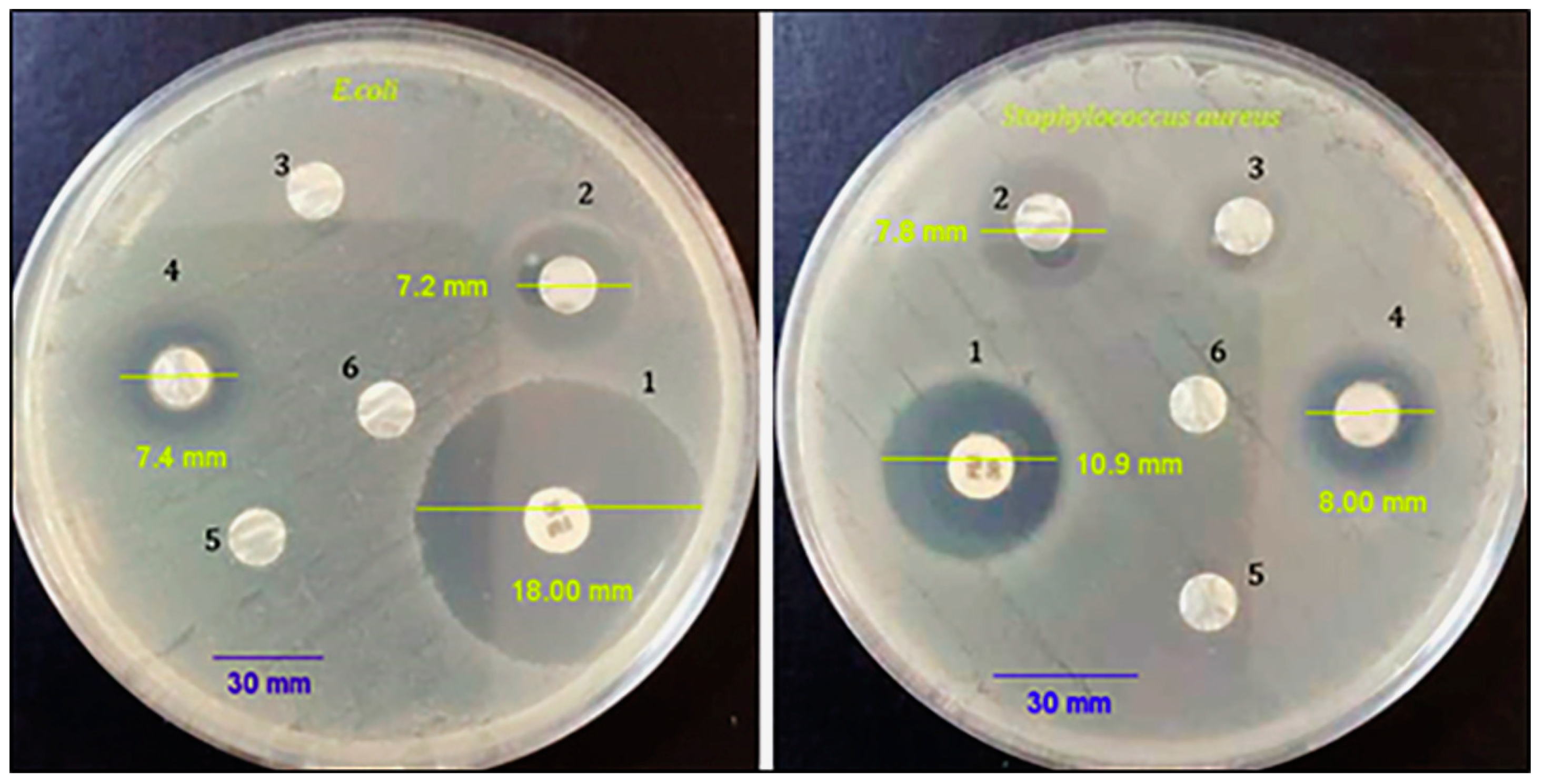 Biotech 12 00019 g005 Biotech 12 00019 g005