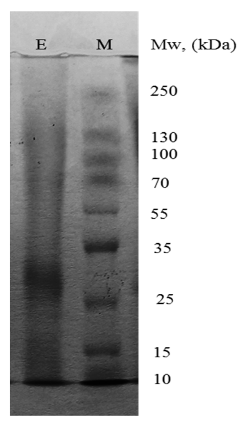 Biotech 12 00023 g001 Biotech 12 00023 g001