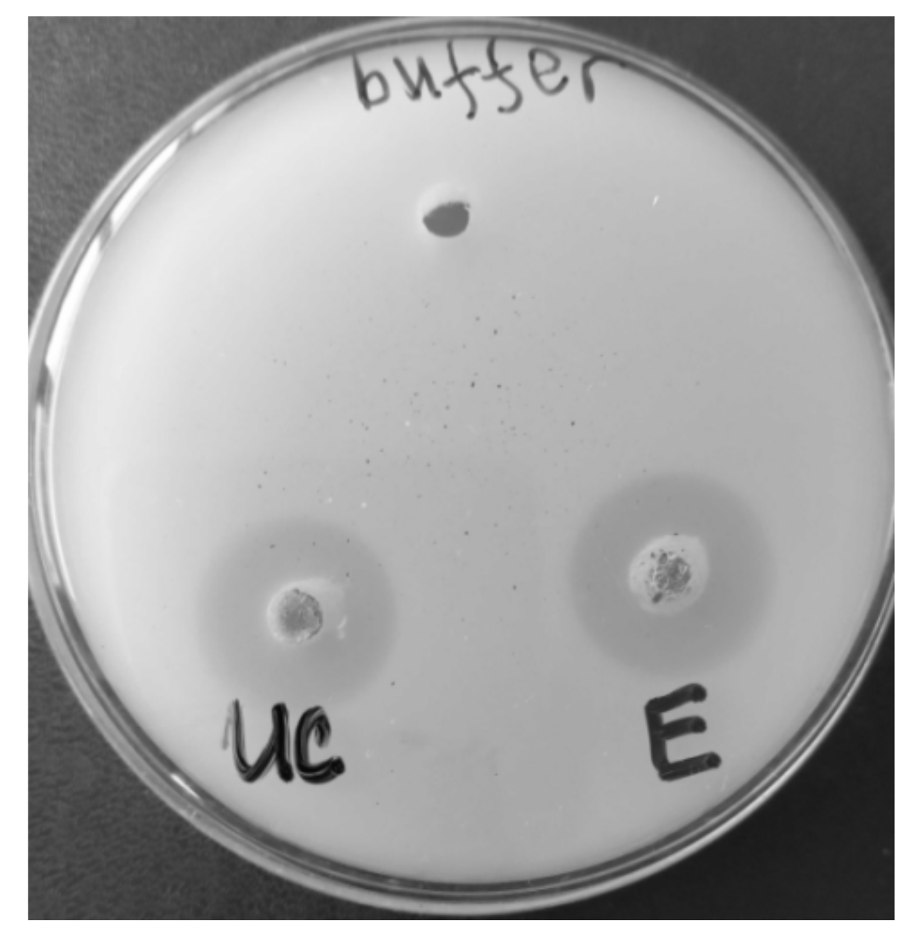 Biotech 12 00023 g002 Biotech 12 00023 g002