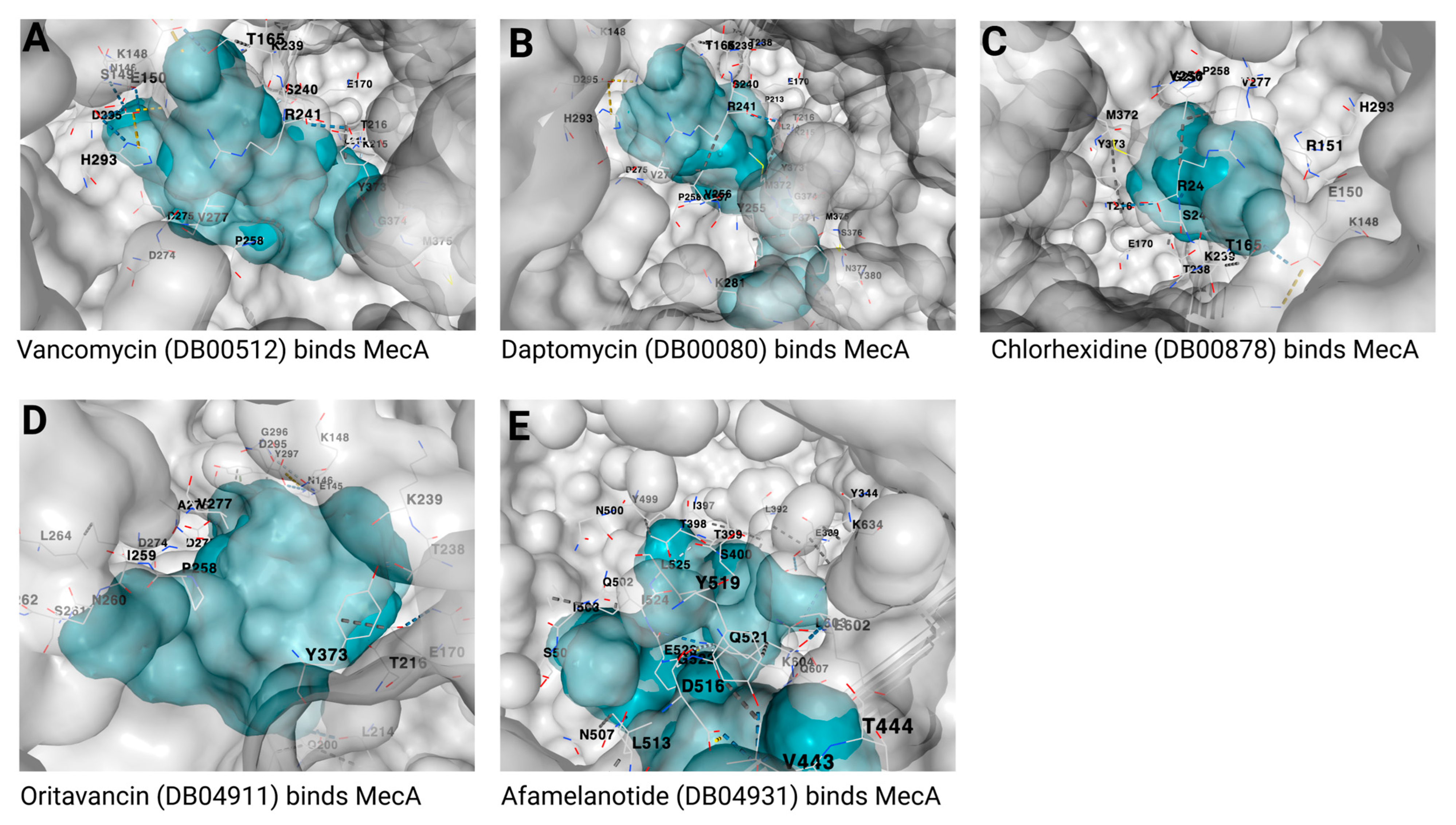 Biotech 12 00025 g005 Biotech 12 00025 g005