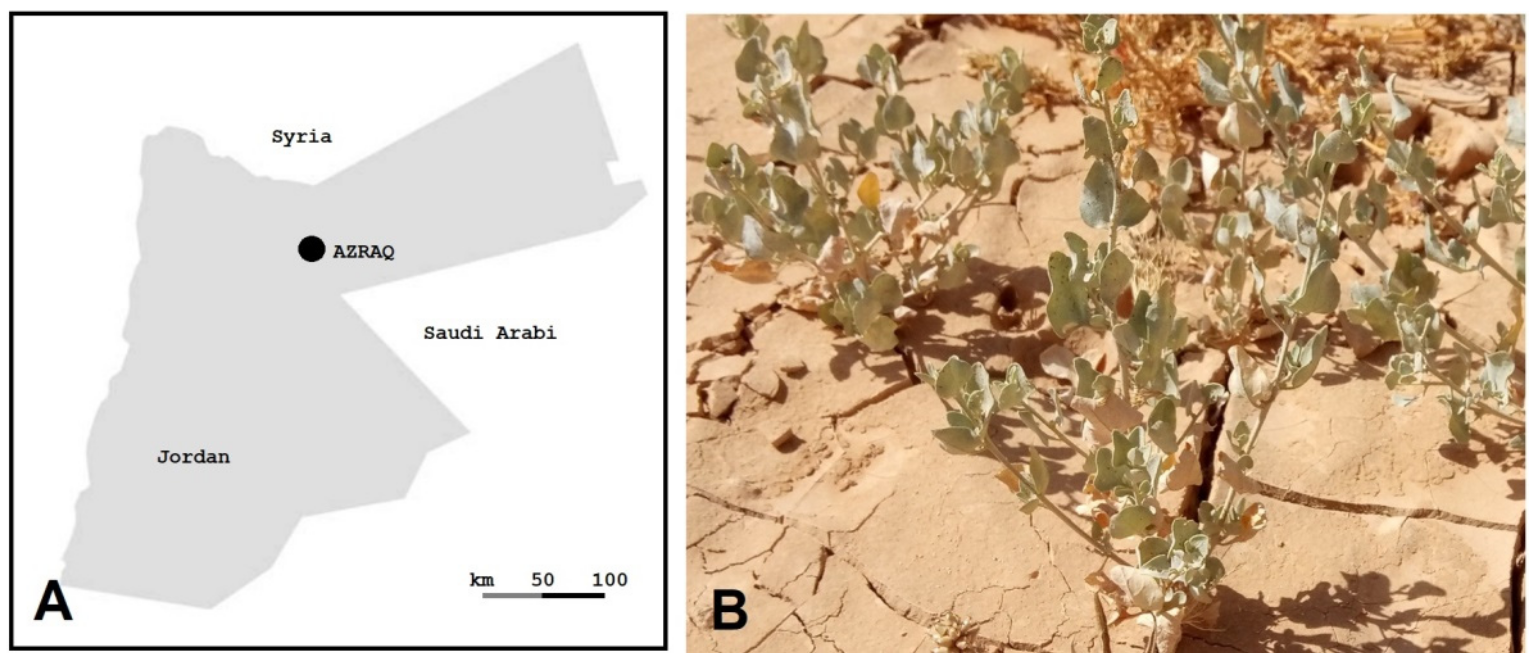 Biotech 12 00027 g001 Biotech 12 00027 g001