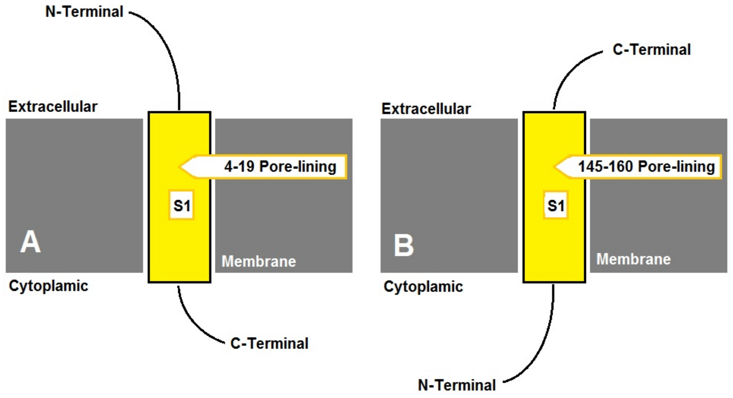 Biotech 12 00027 g002 Biotech 12 00027 g002