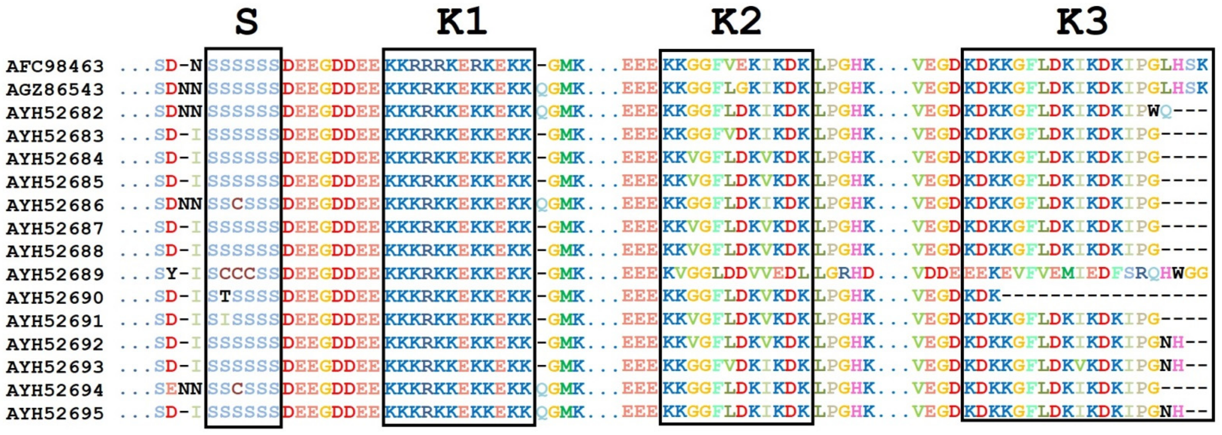 Biotech 12 00027 g003 Biotech 12 00027 g003