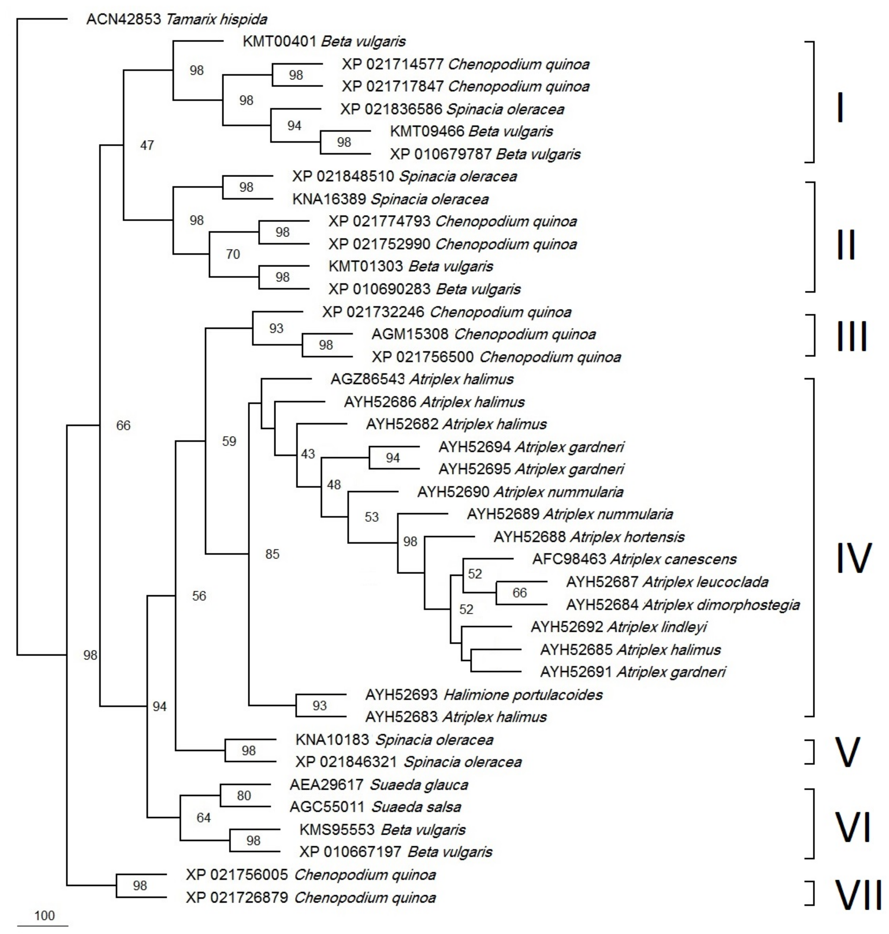 Biotech 12 00027 g005 Biotech 12 00027 g005