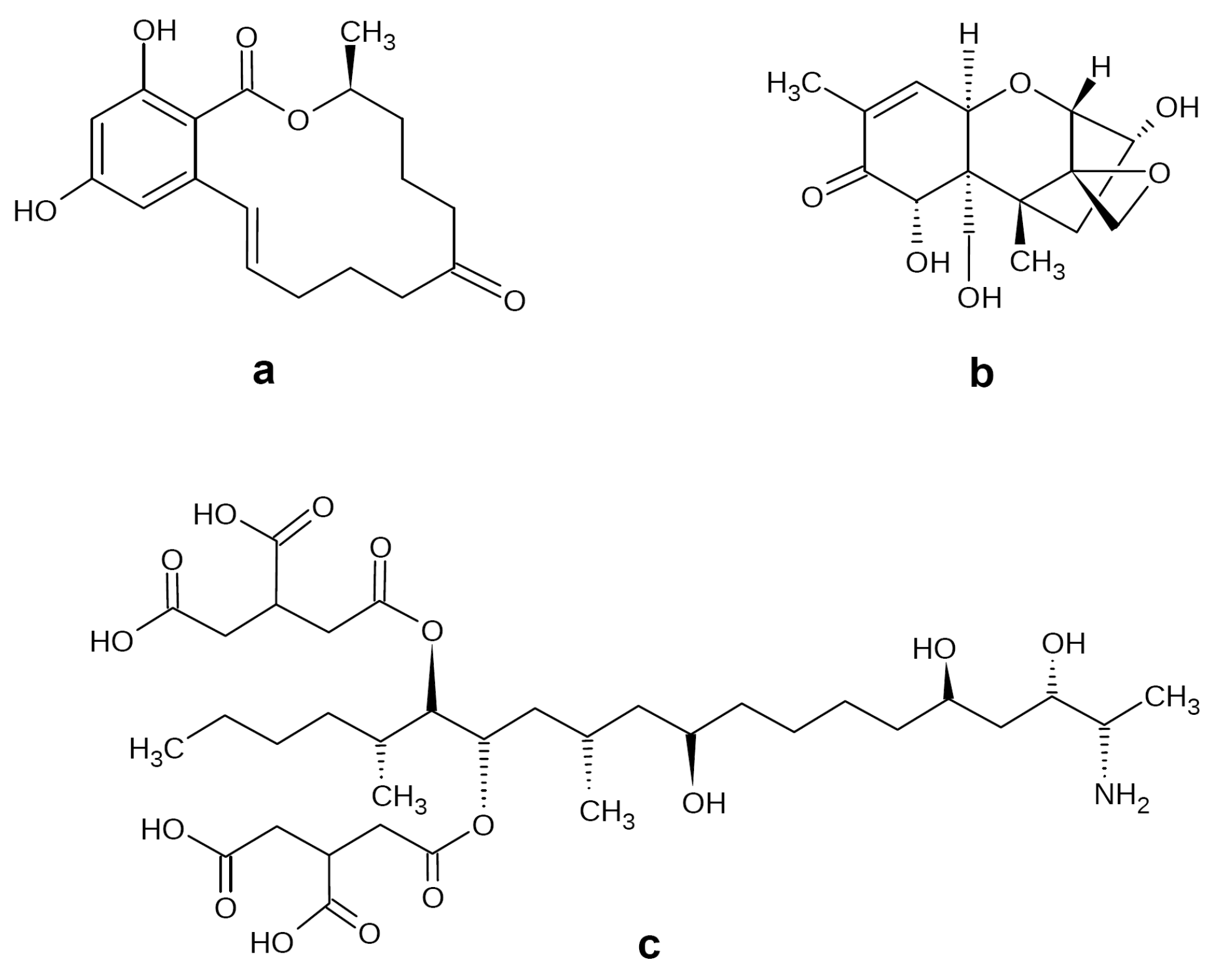Biotech 12 00032 g001 Biotech 12 00032 g001
