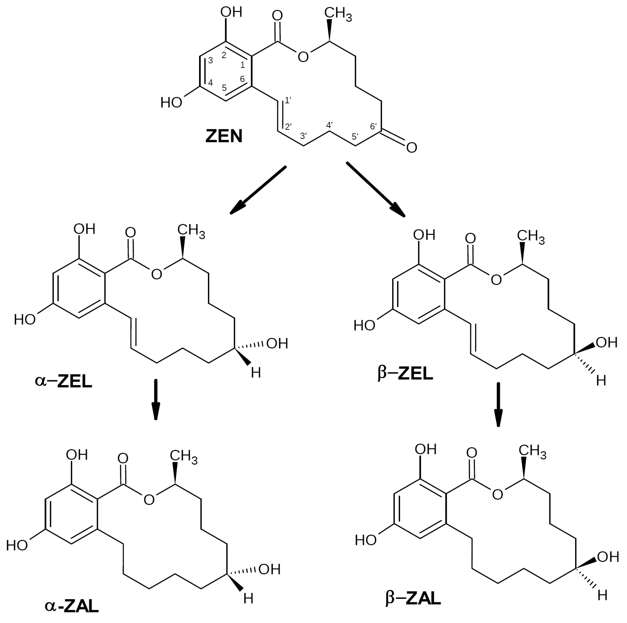 Biotech 12 00032 g002 Biotech 12 00032 g002