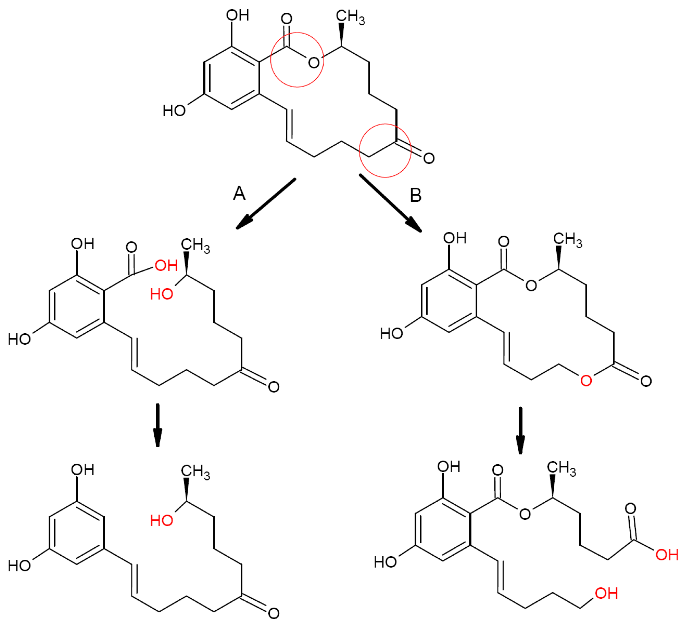 Biotech 12 00032 g003 Biotech 12 00032 g003