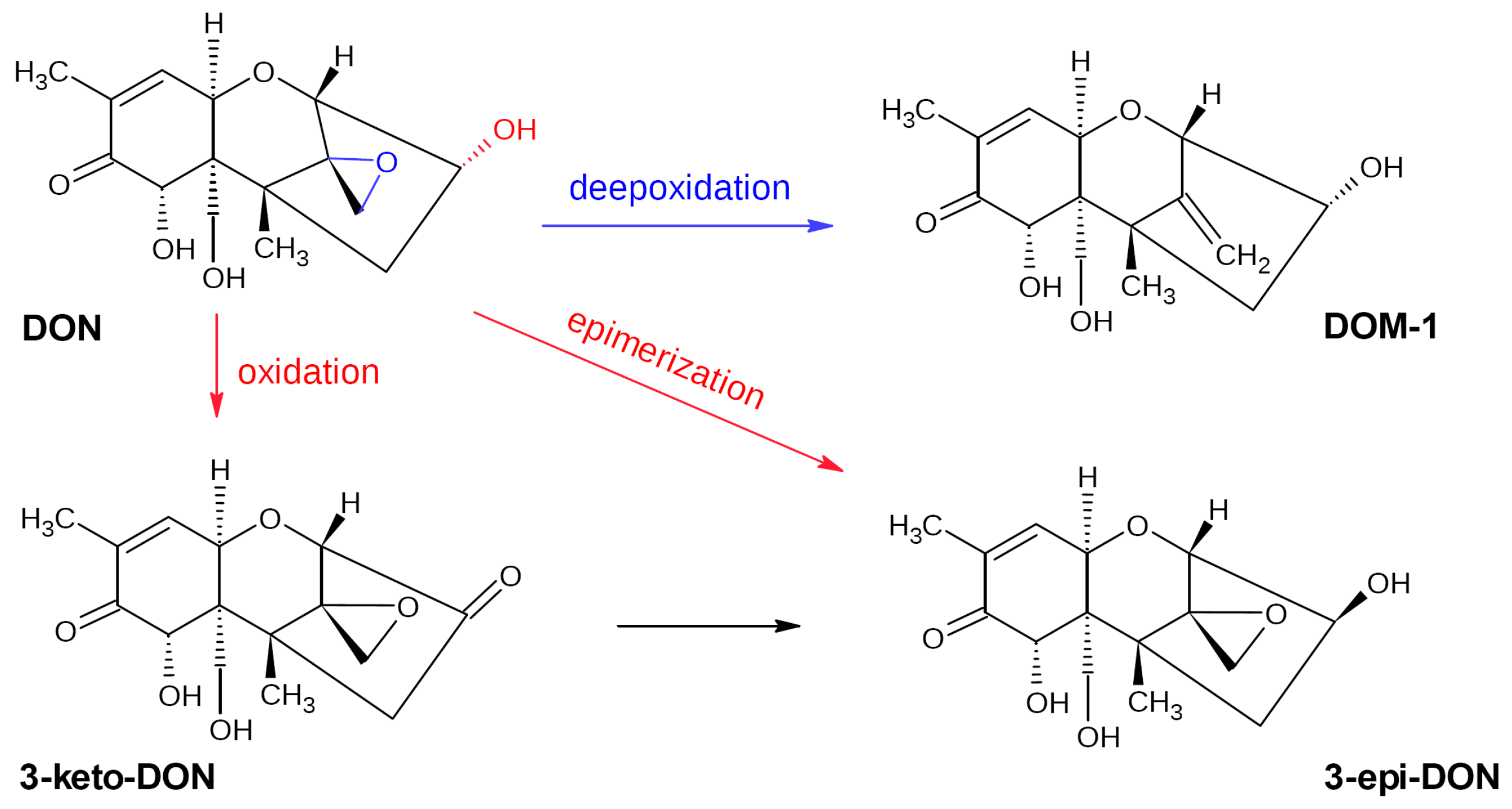 Biotech 12 00032 g004 Biotech 12 00032 g004