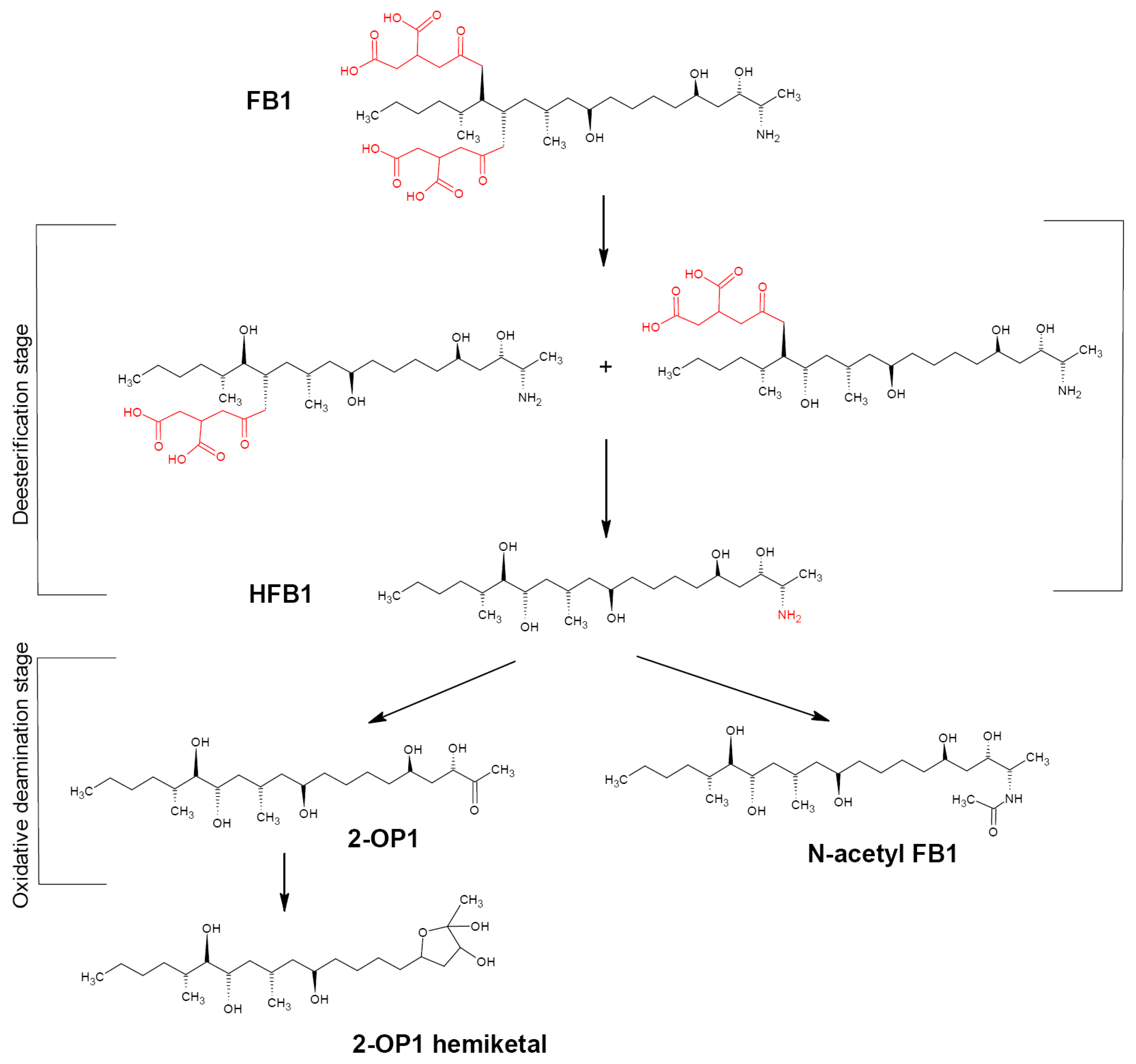 Biotech 12 00032 g005 Biotech 12 00032 g005