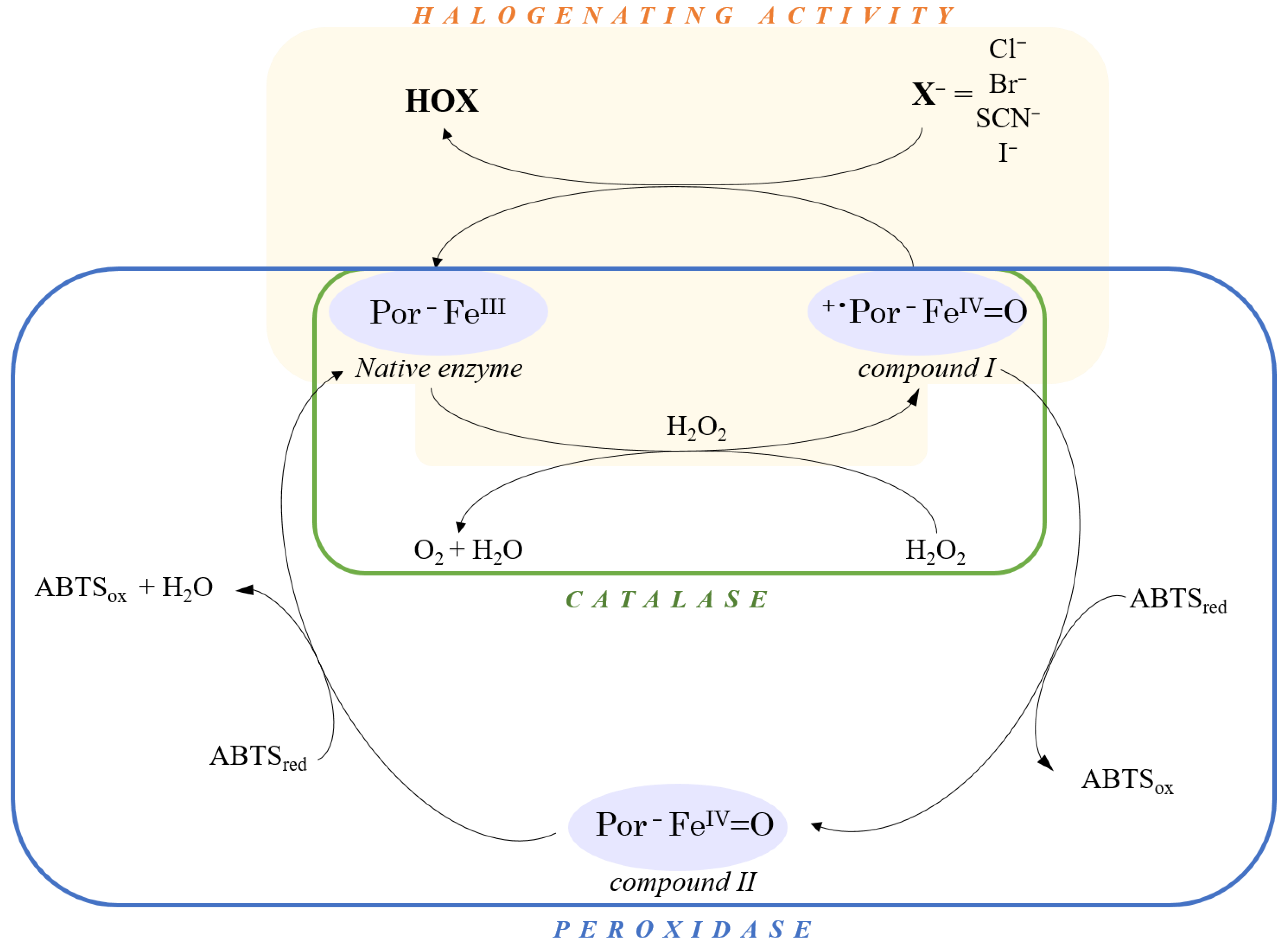 Biotech 12 00033 sch001 Biotech 12 00033 sch001