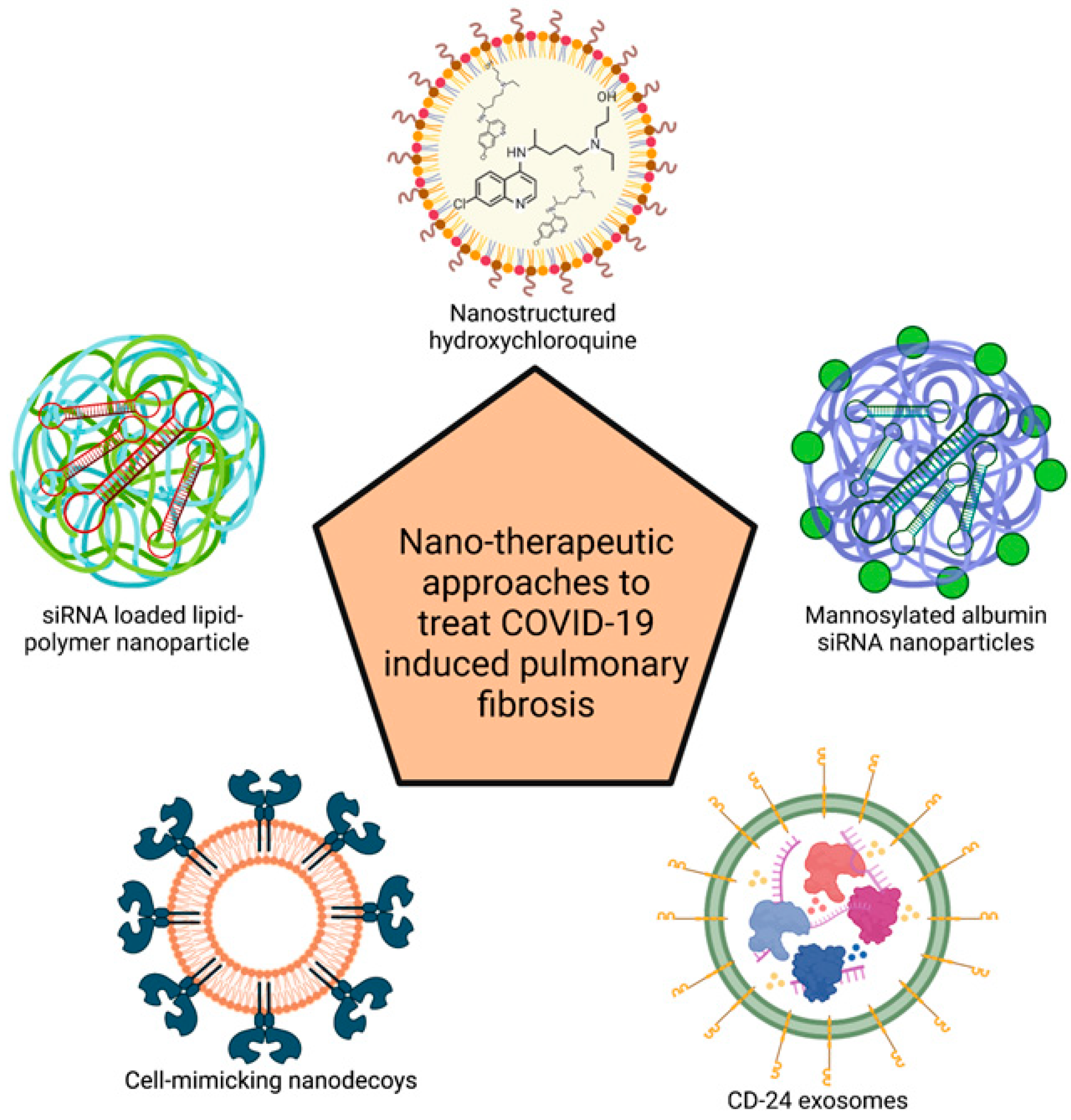 Biotech 12 00034 g003