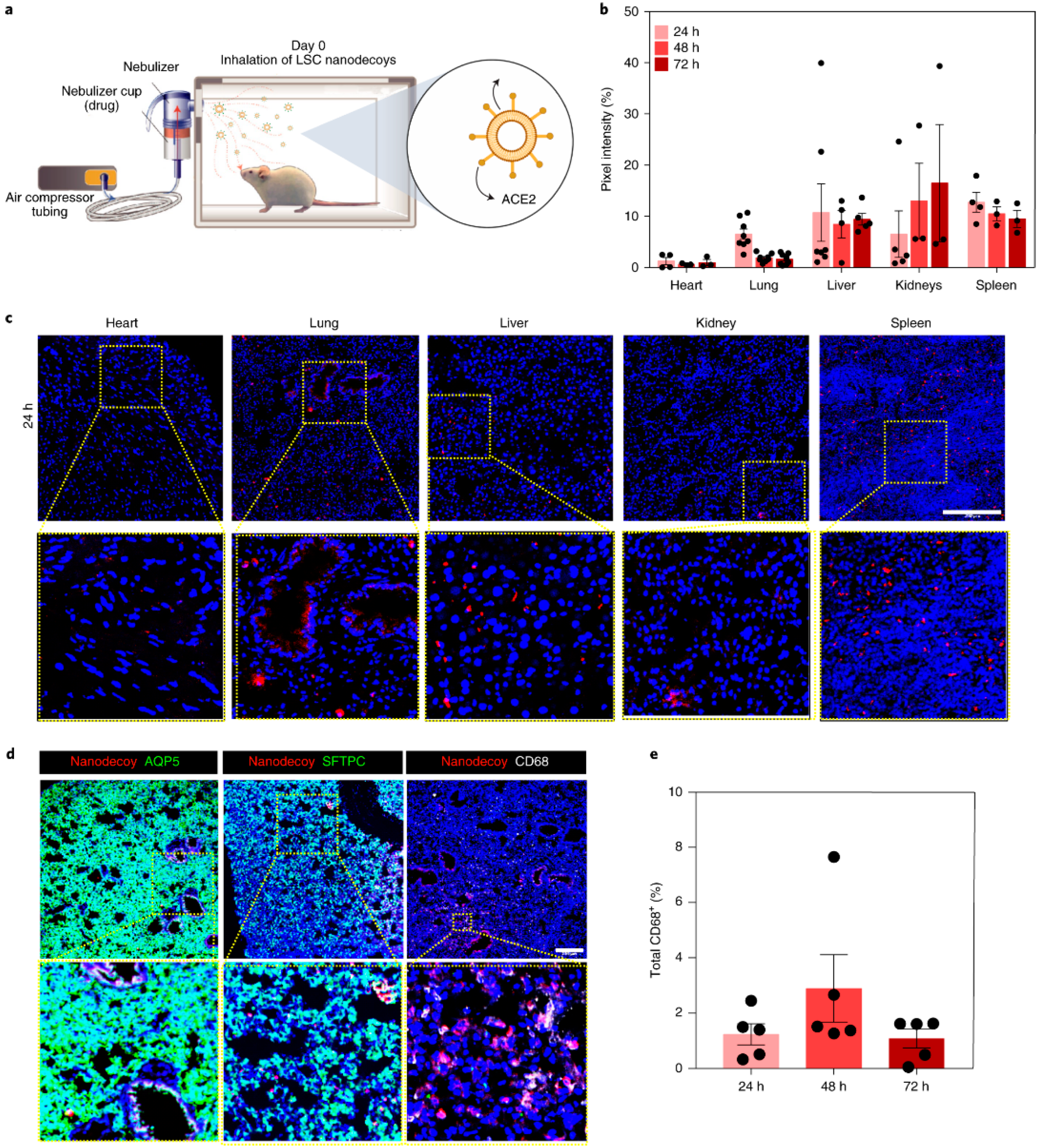 Biotech 12 00034 g004