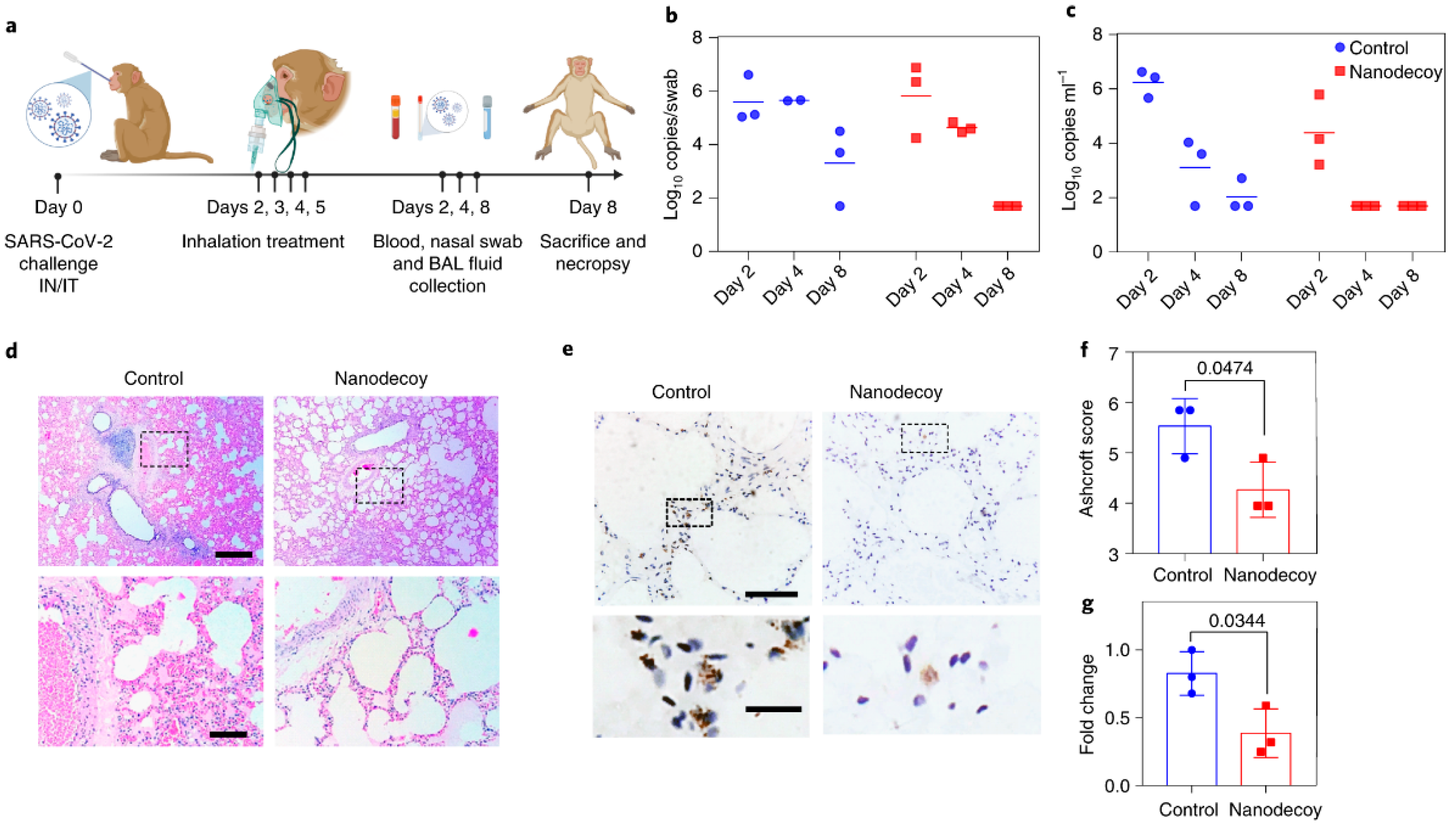 Biotech 12 00034 g005