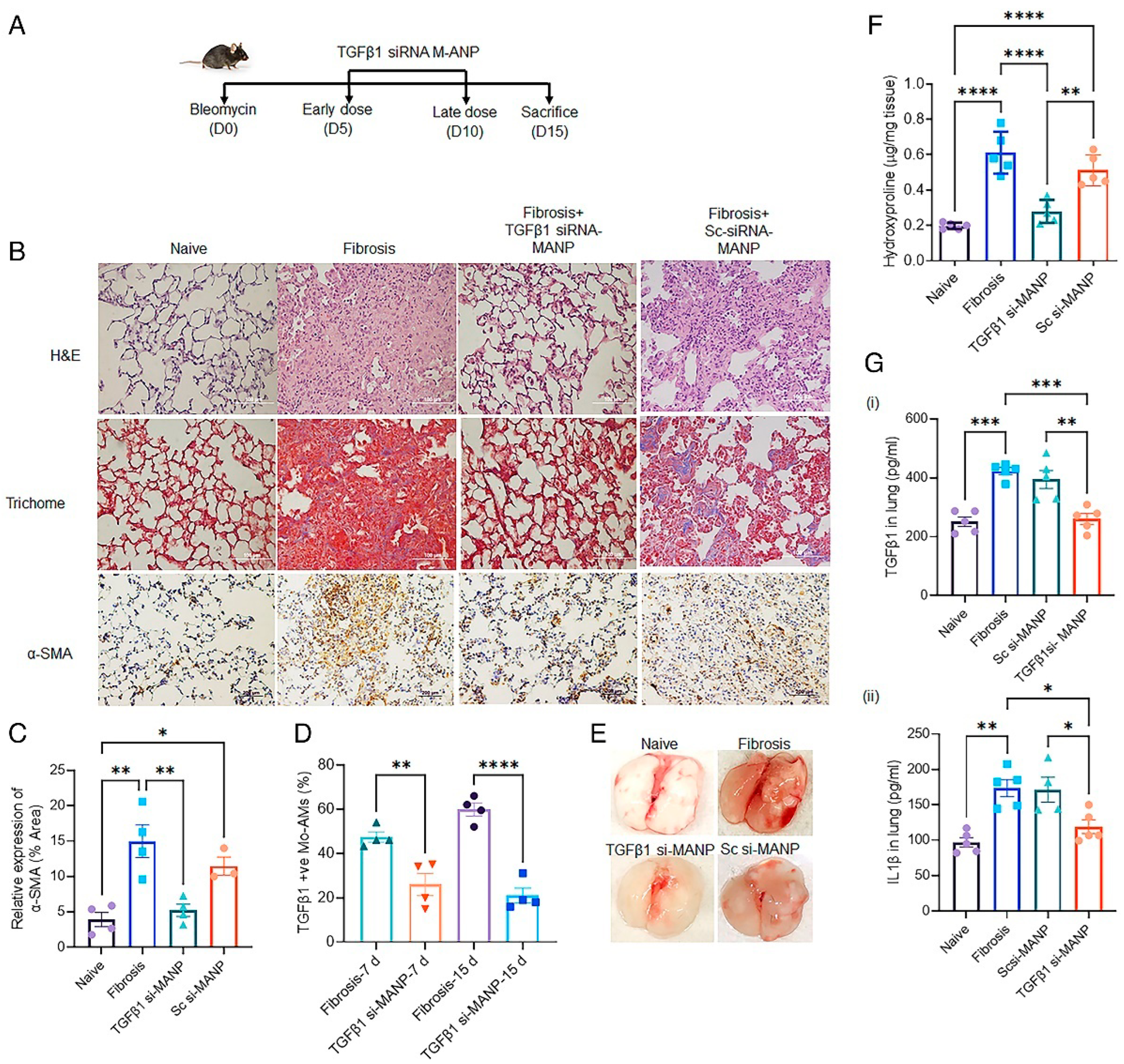 Biotech 12 00034 g009