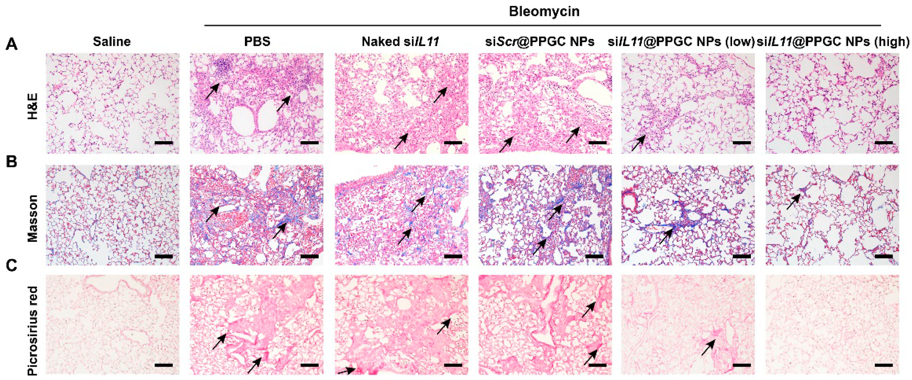 Biotech 12 00034 g011