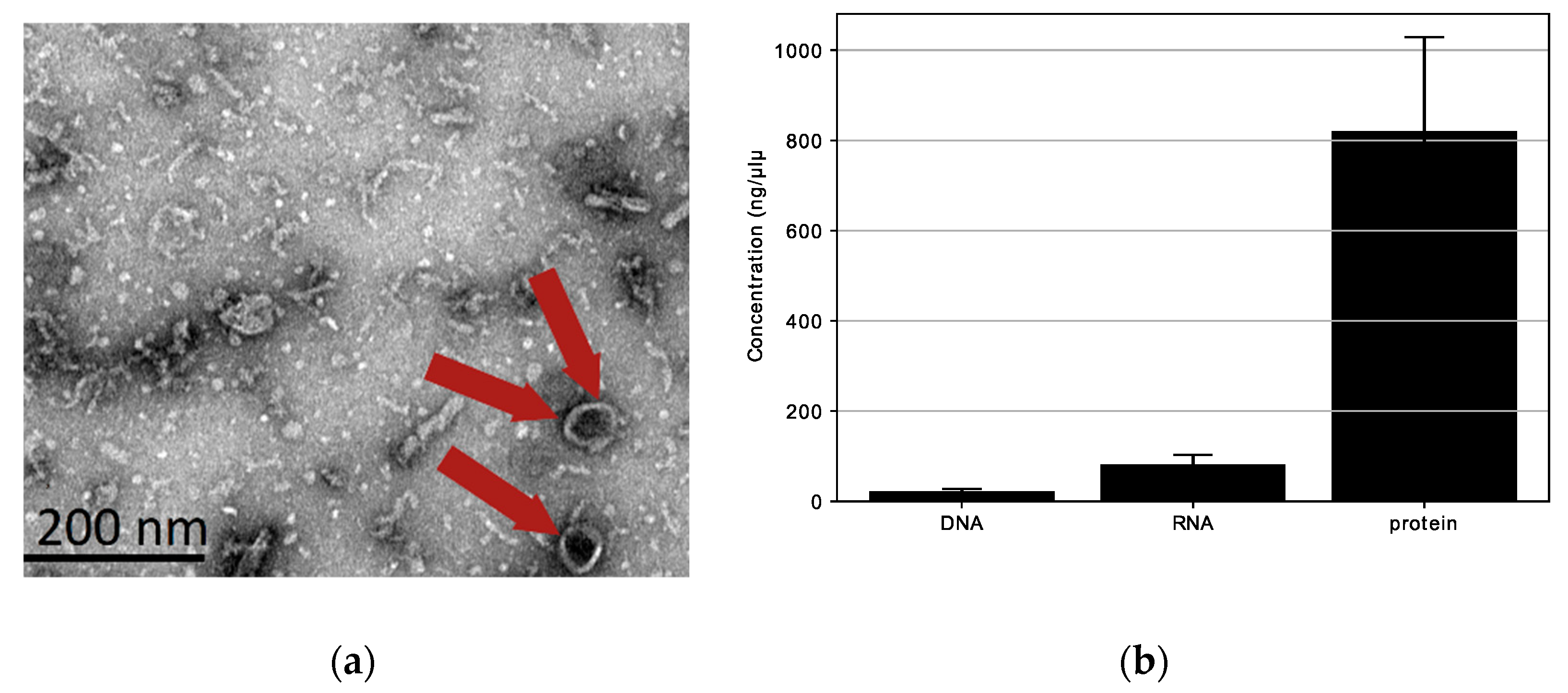 Biotech 12 00039 g004 Biotech 12 00039 g004