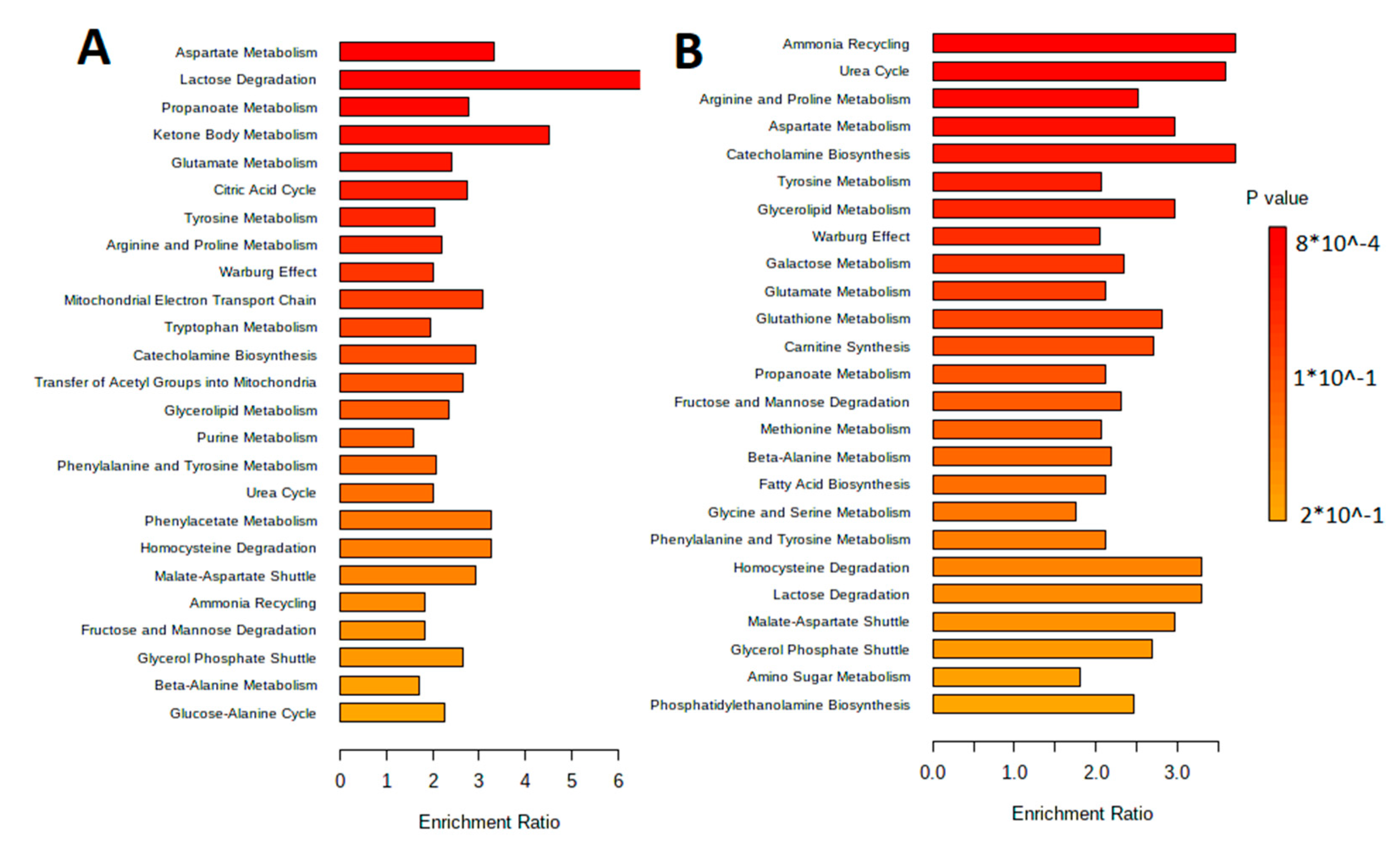 Biotech 12 00039 g006 Biotech 12 00039 g006