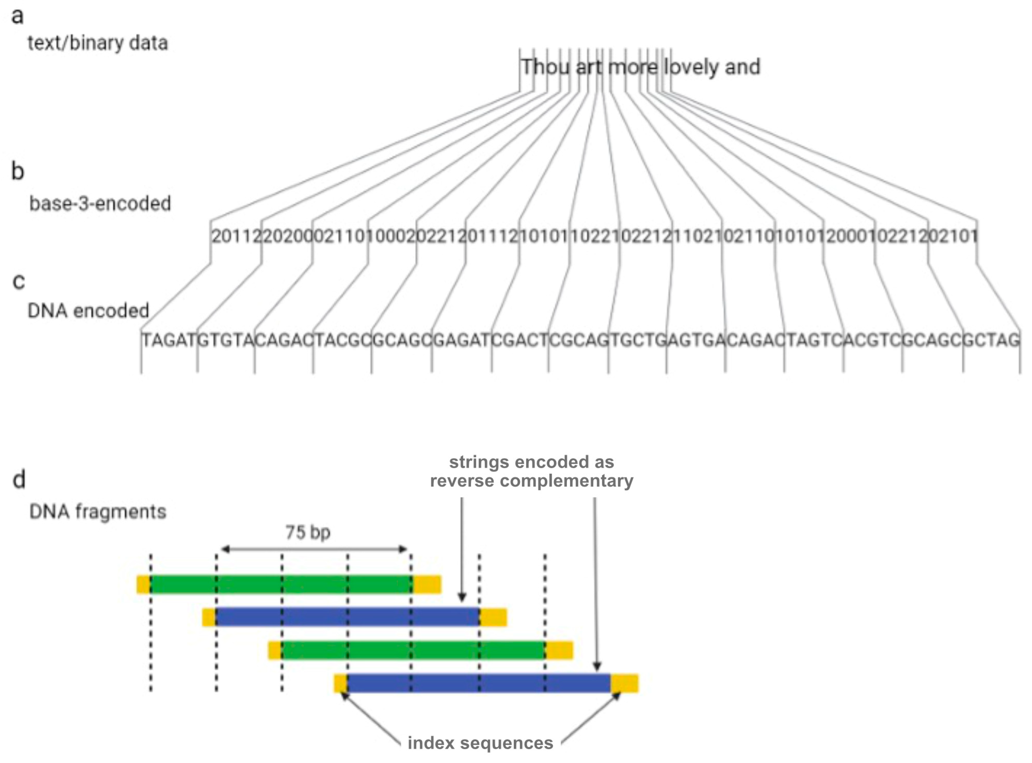 Biotech 12 00044 g002 Biotech 12 00044 g002