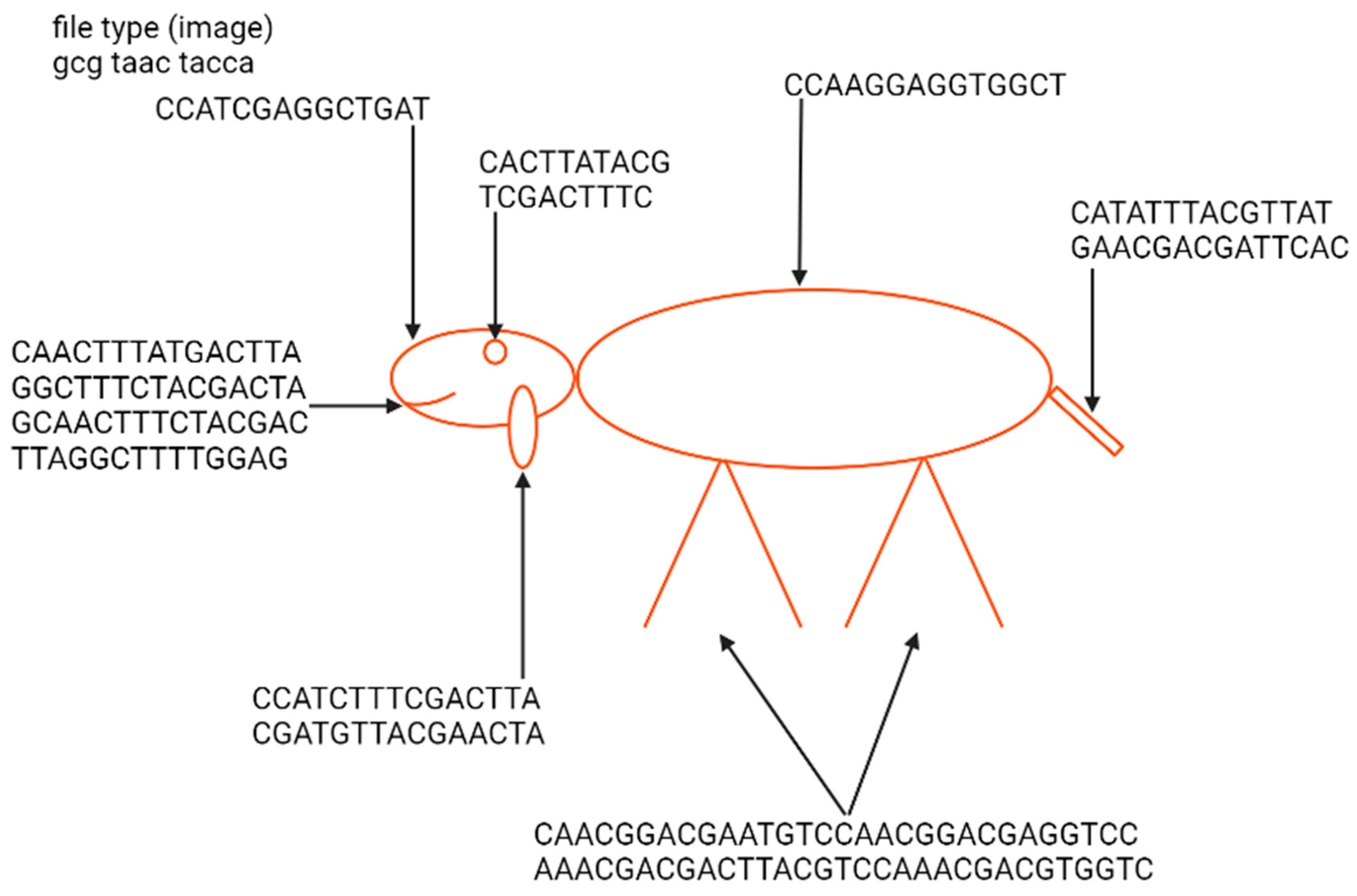 Biotech 12 00044 g004 Biotech 12 00044 g004