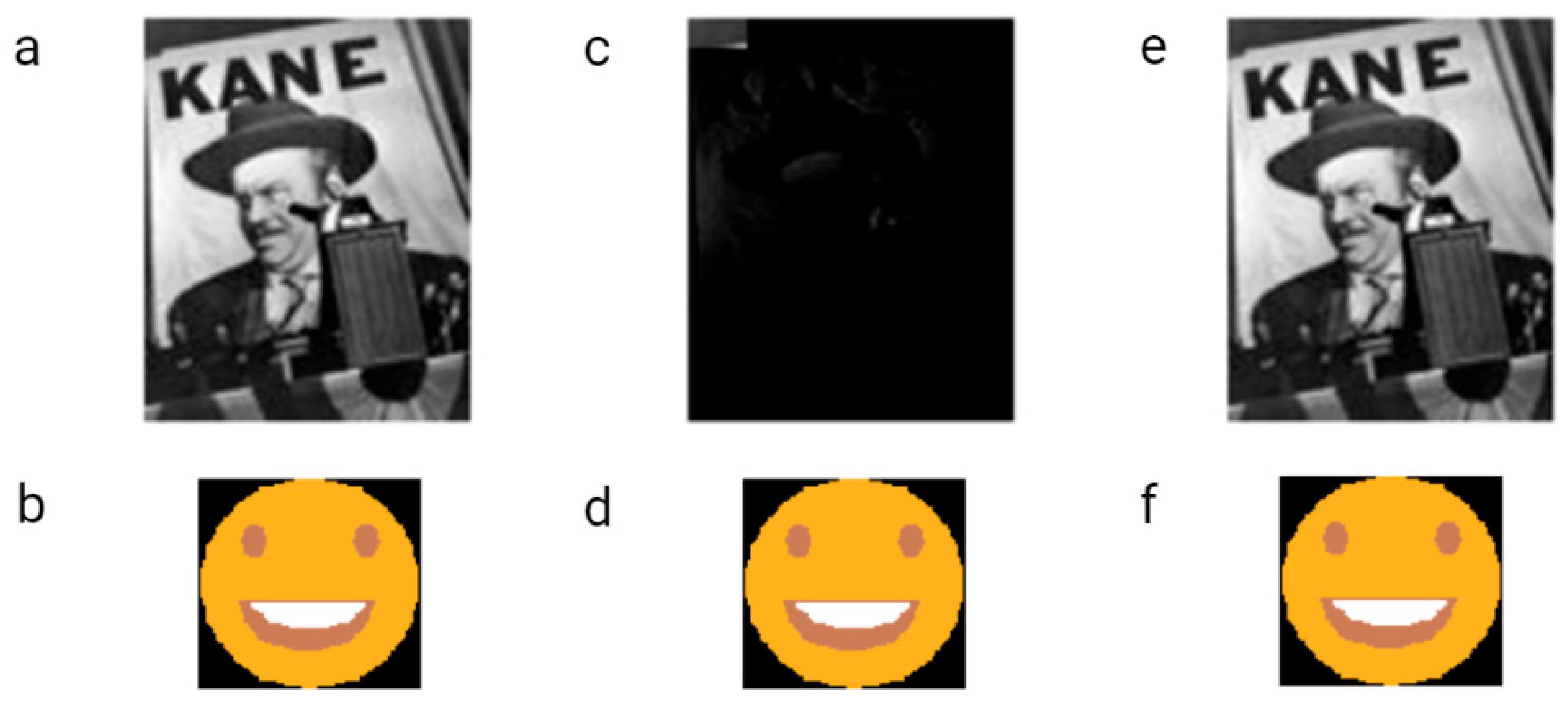 Biotech 12 00044 g005 Biotech 12 00044 g005