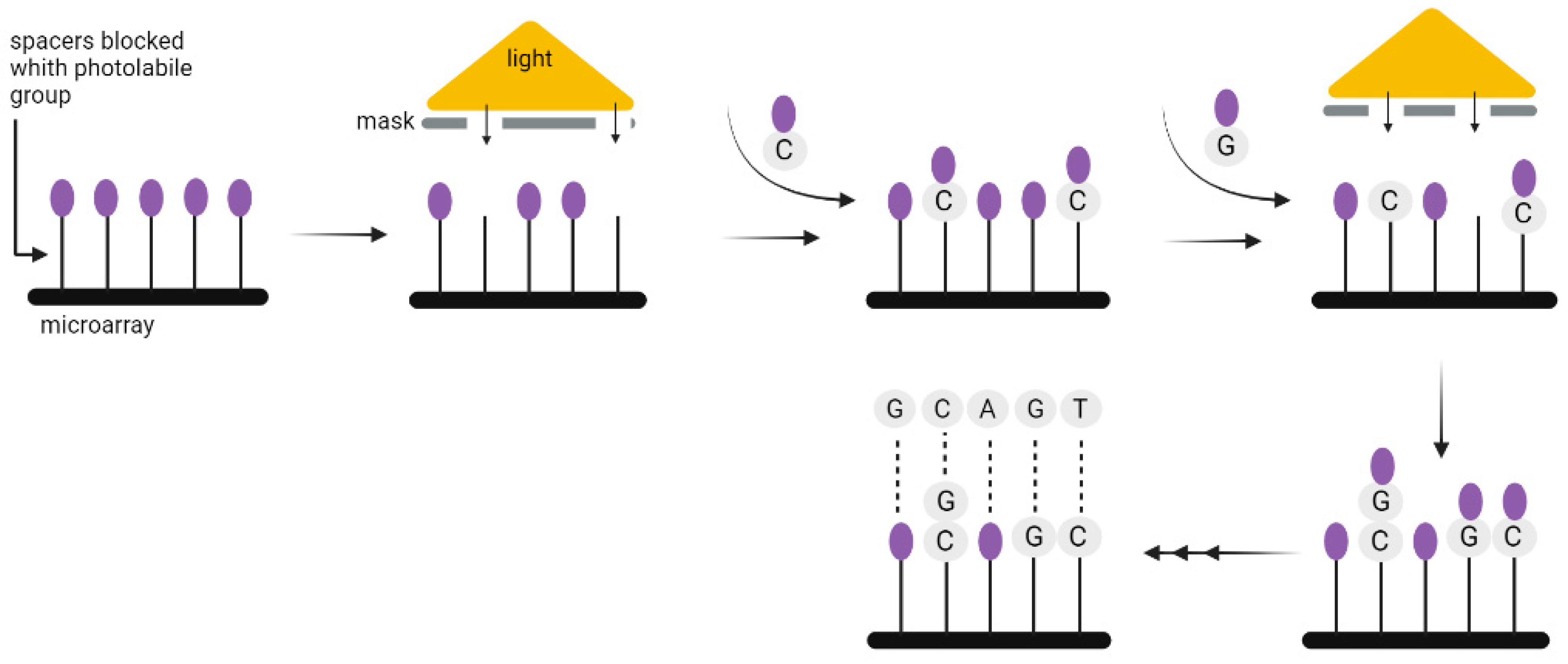 Biotech 12 00044 g006 Biotech 12 00044 g006