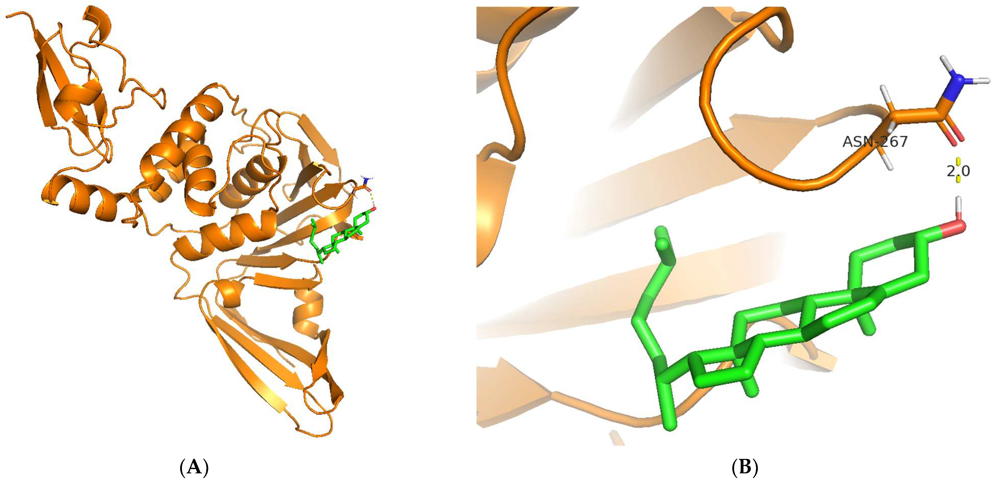 Biotech 12 00046 g005a Biotech 12 00046 g005a