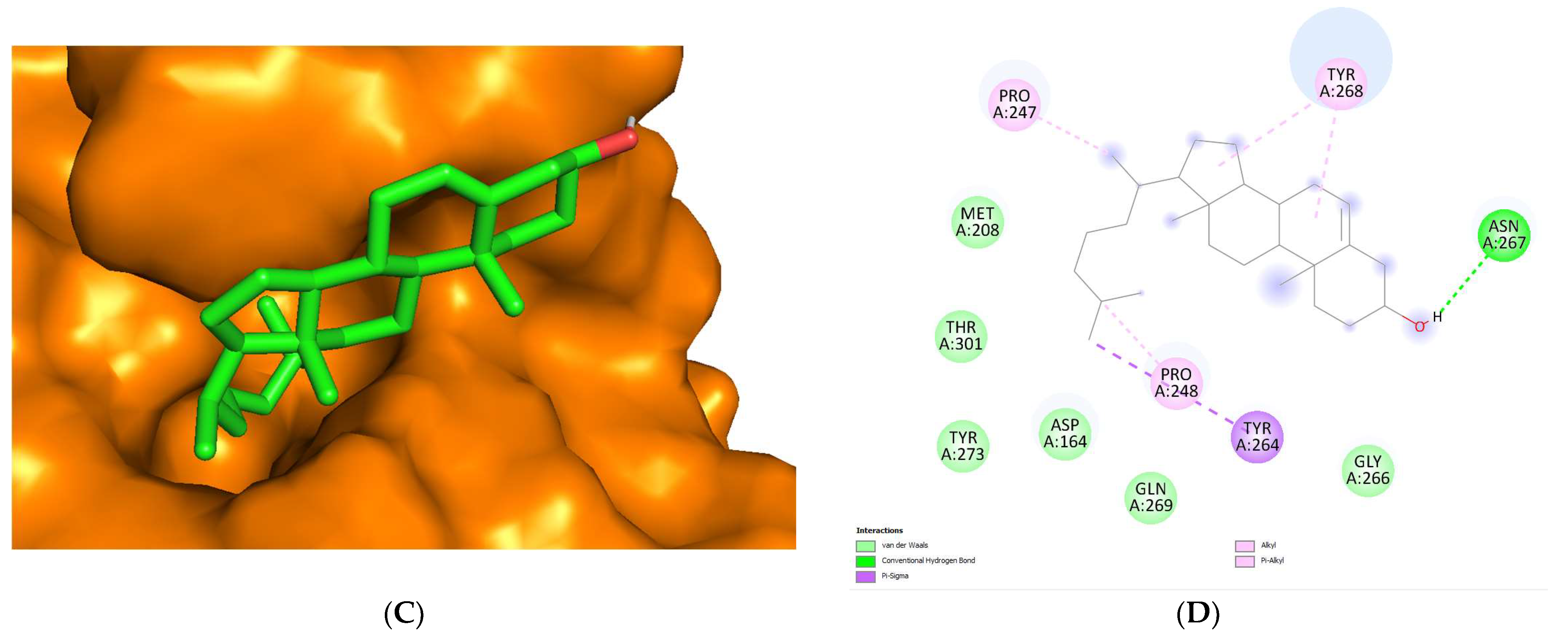 Biotech 12 00046 g005b Biotech 12 00046 g005b