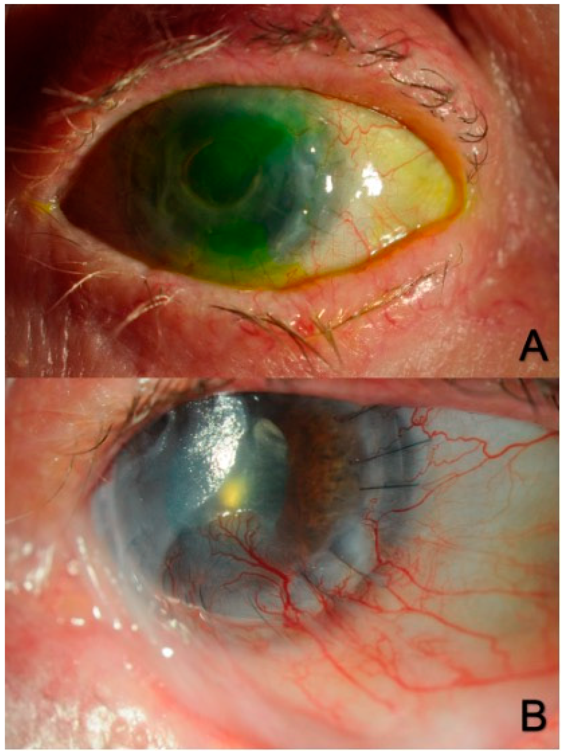 Biotech 12 00048 g003