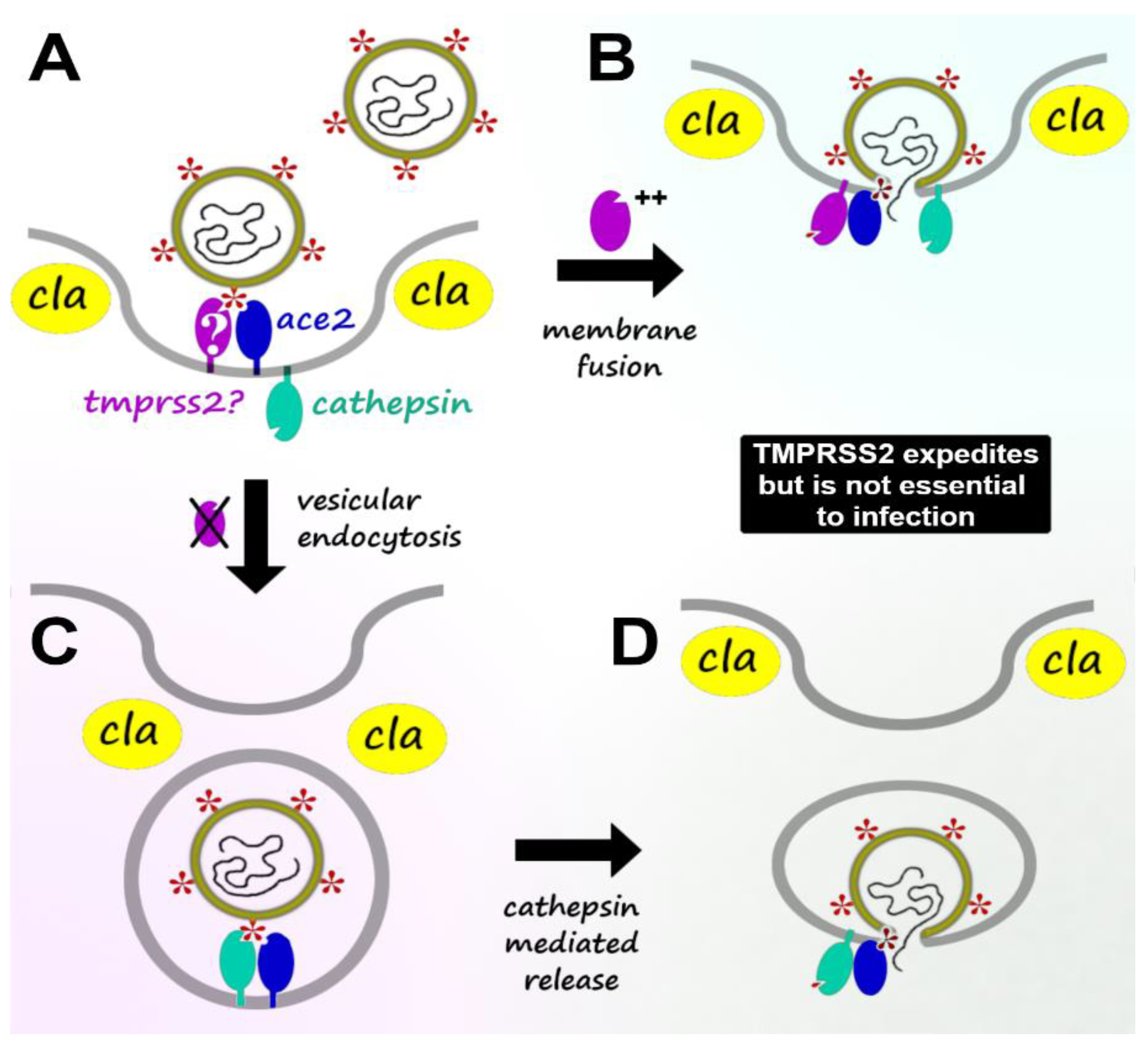 BioTech, Free Full-Text