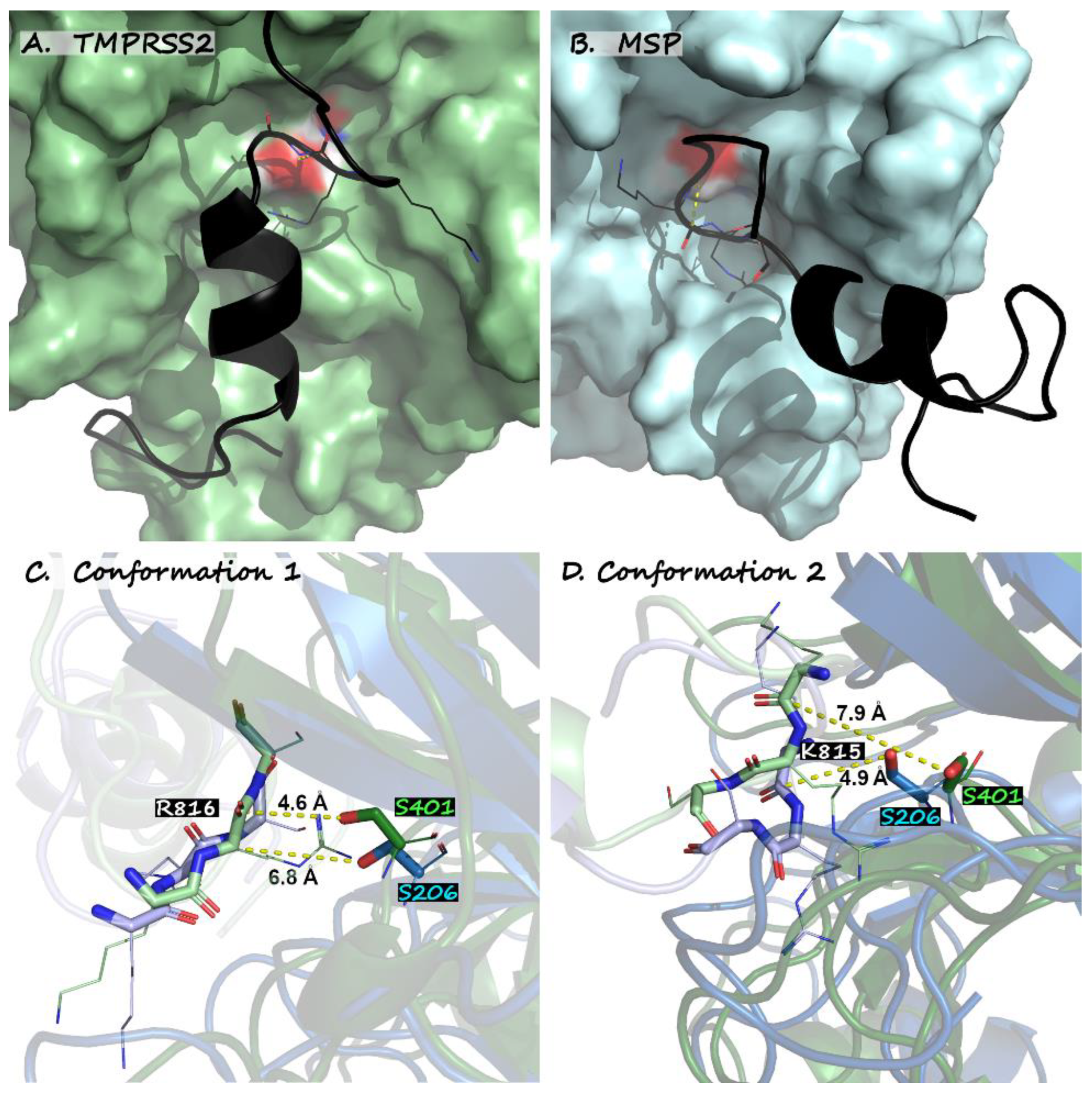 Biotech 12 00061 g003 Biotech 12 00061 g003