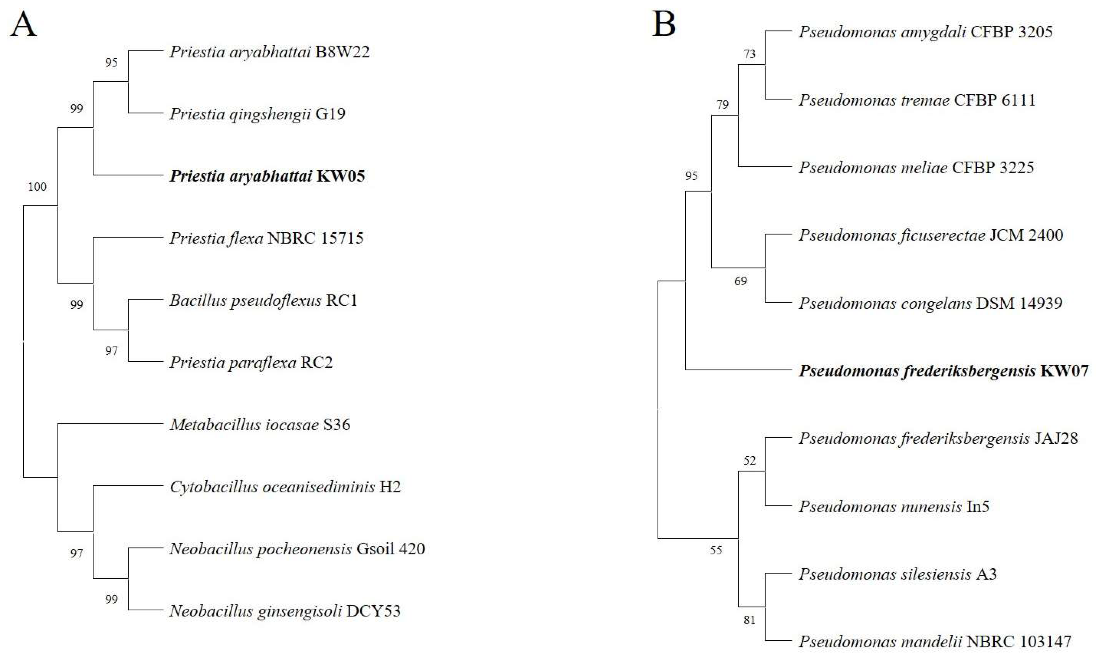 Biotech 12 00066 g005