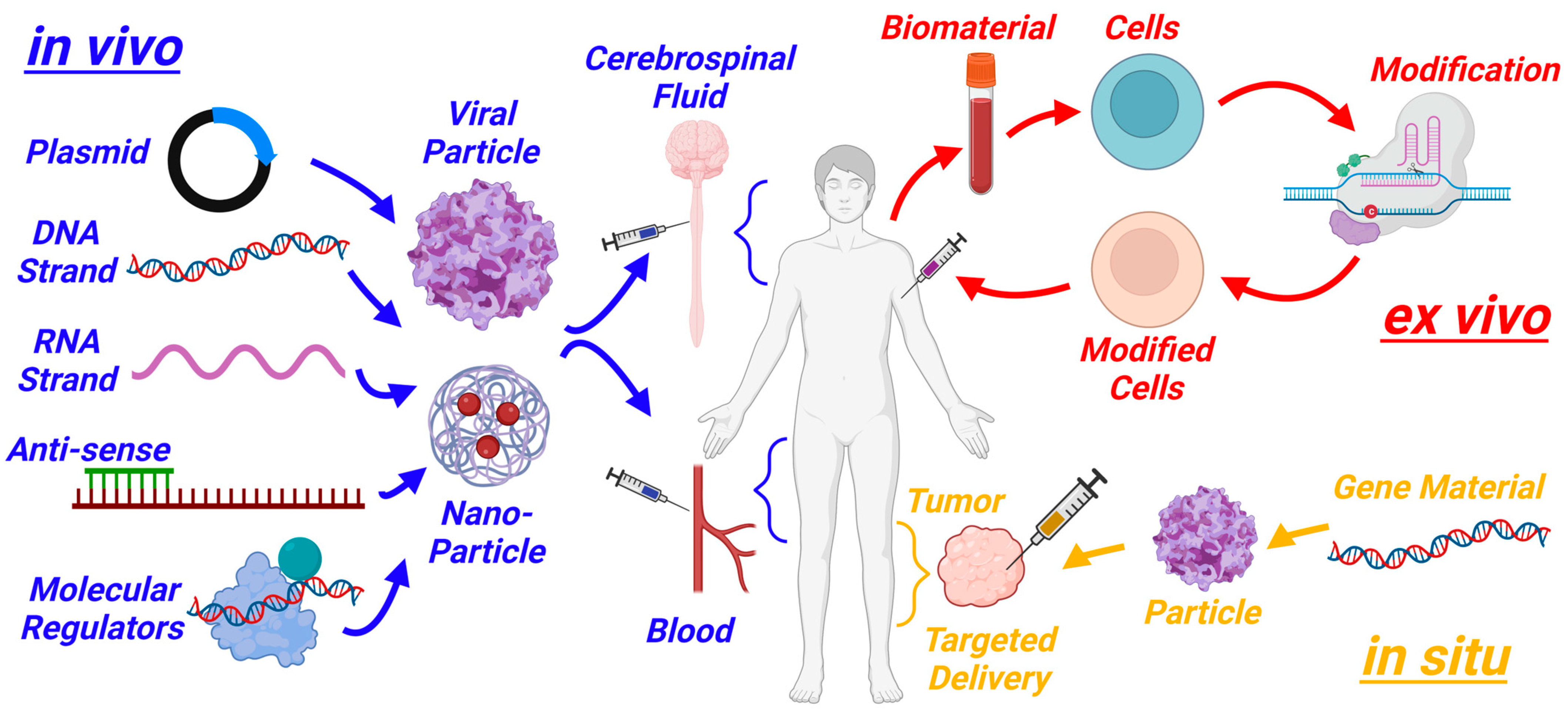 Biotech 13 00001 g001