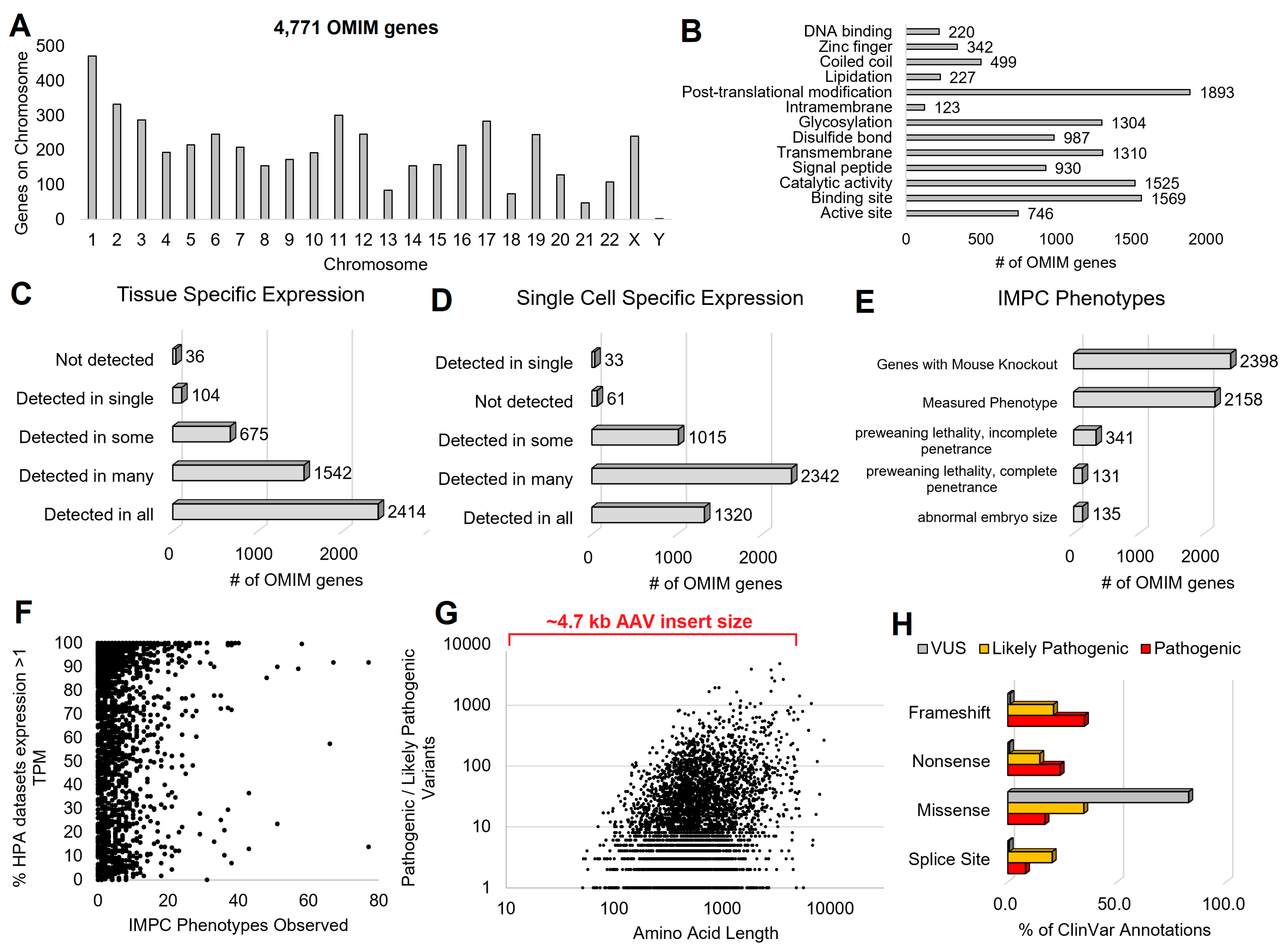 Biotech 13 00001 g006