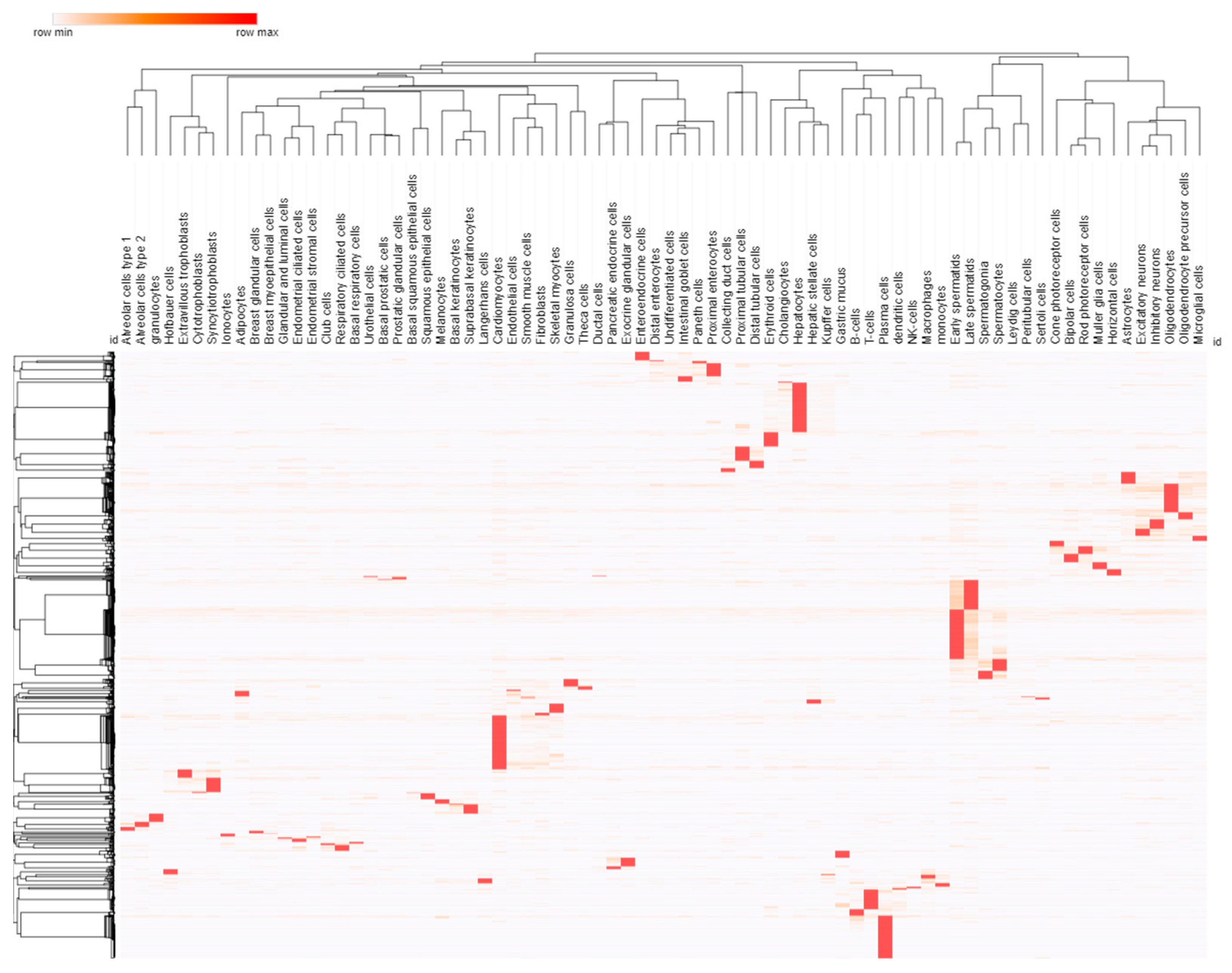 Biotech 13 00001 g007