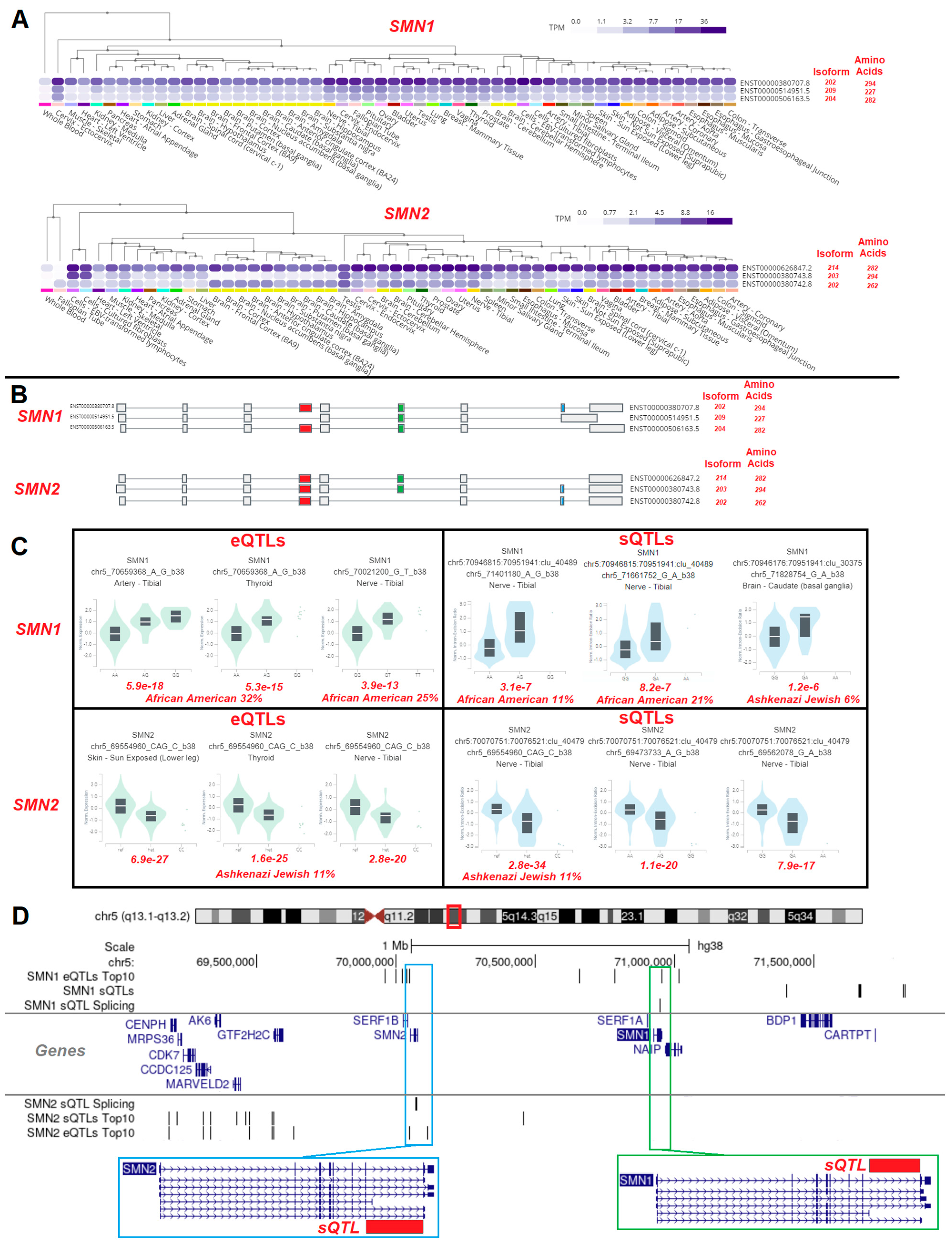 Biotech 13 00001 g008