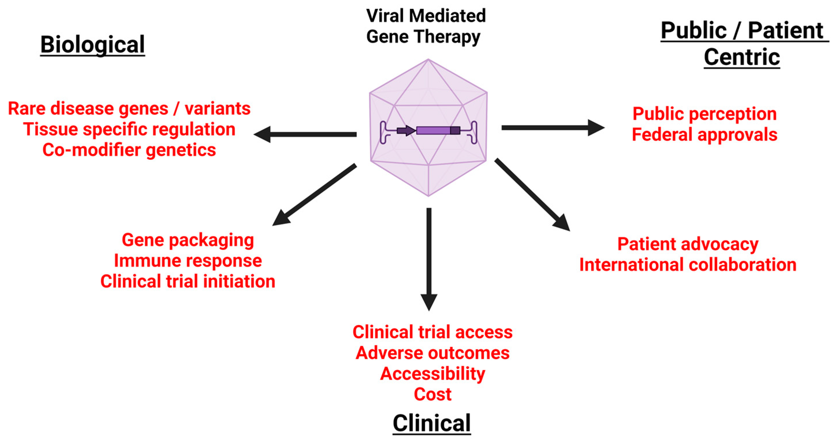 Biotech 13 00001 g010