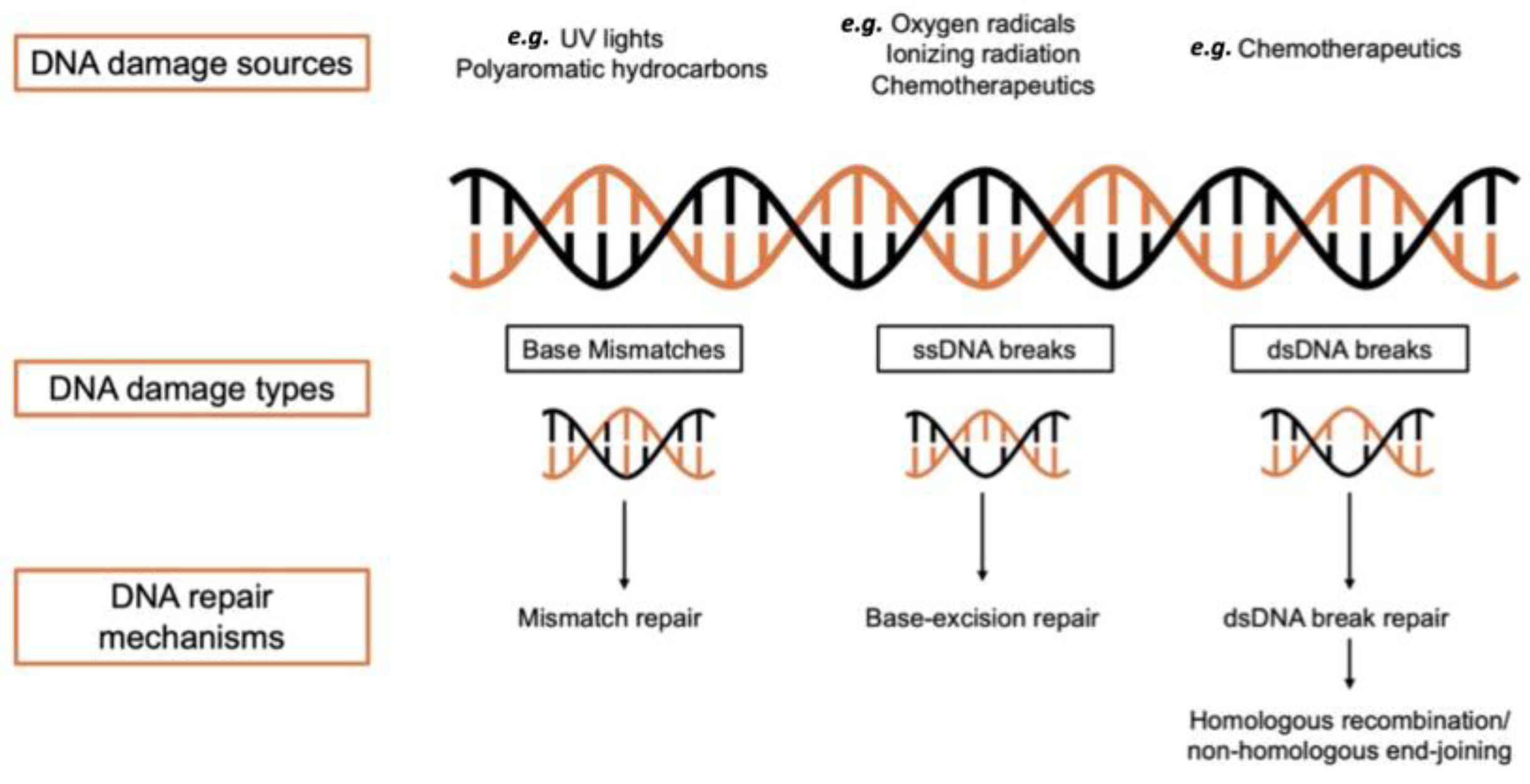 Biotech 13 00003 g002 Biotech 13 00003 g002
