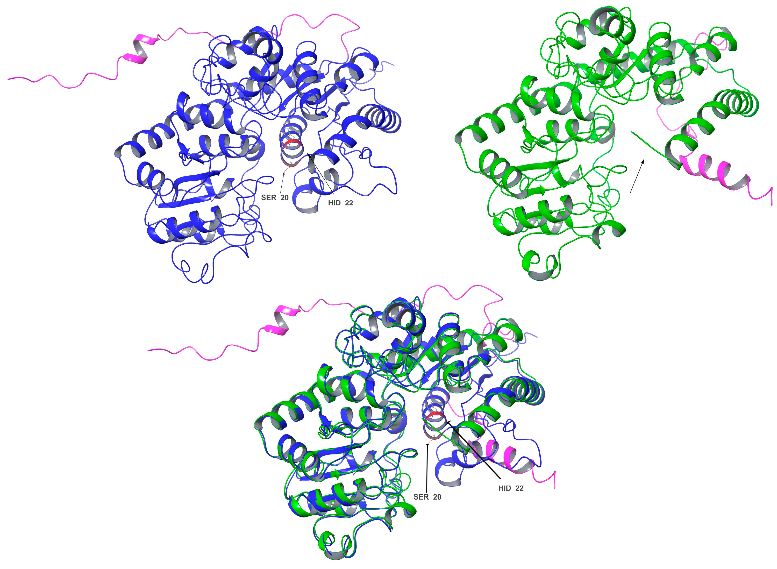 Biotech 13 00004 g007