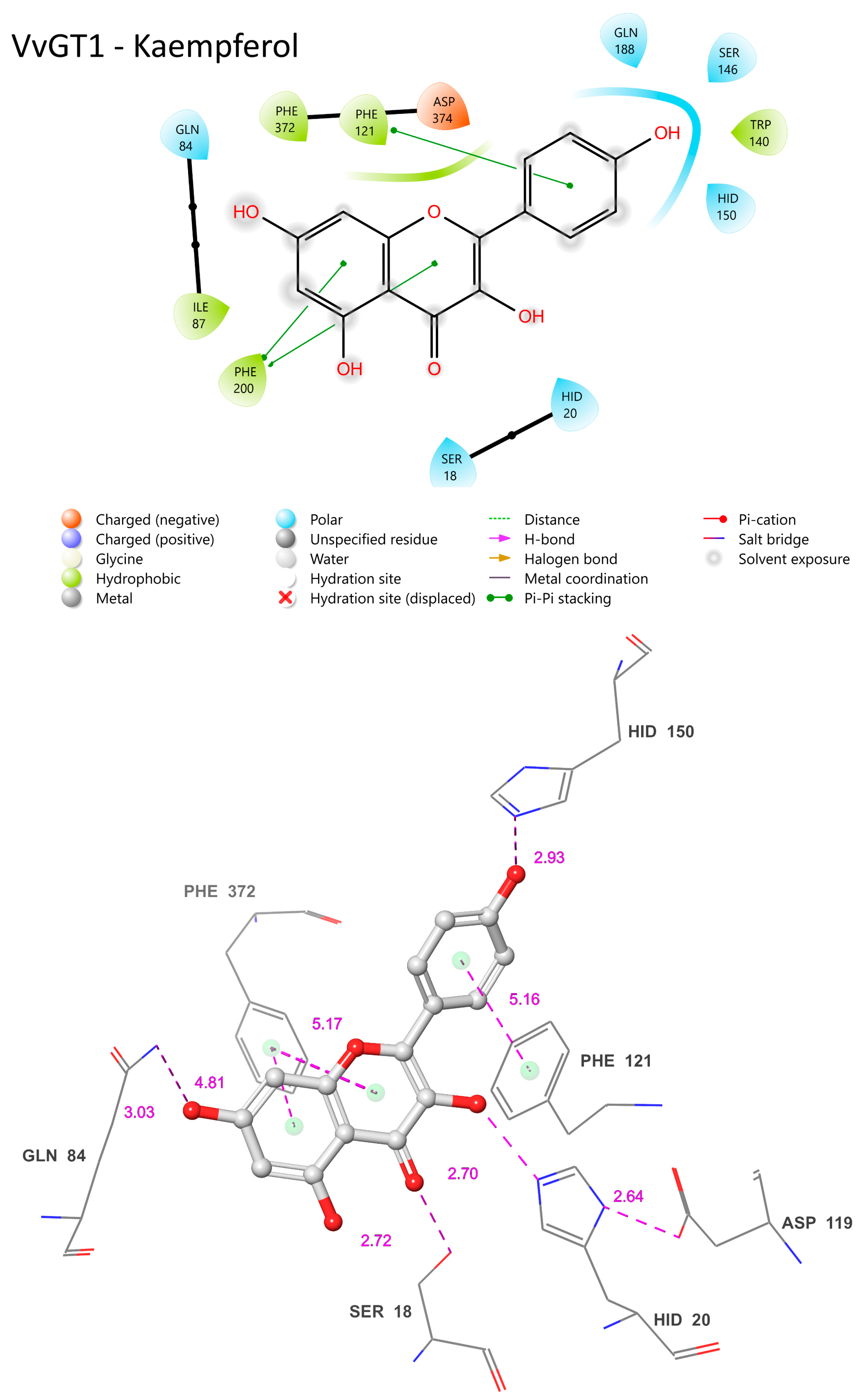 Biotech 13 00004 g010