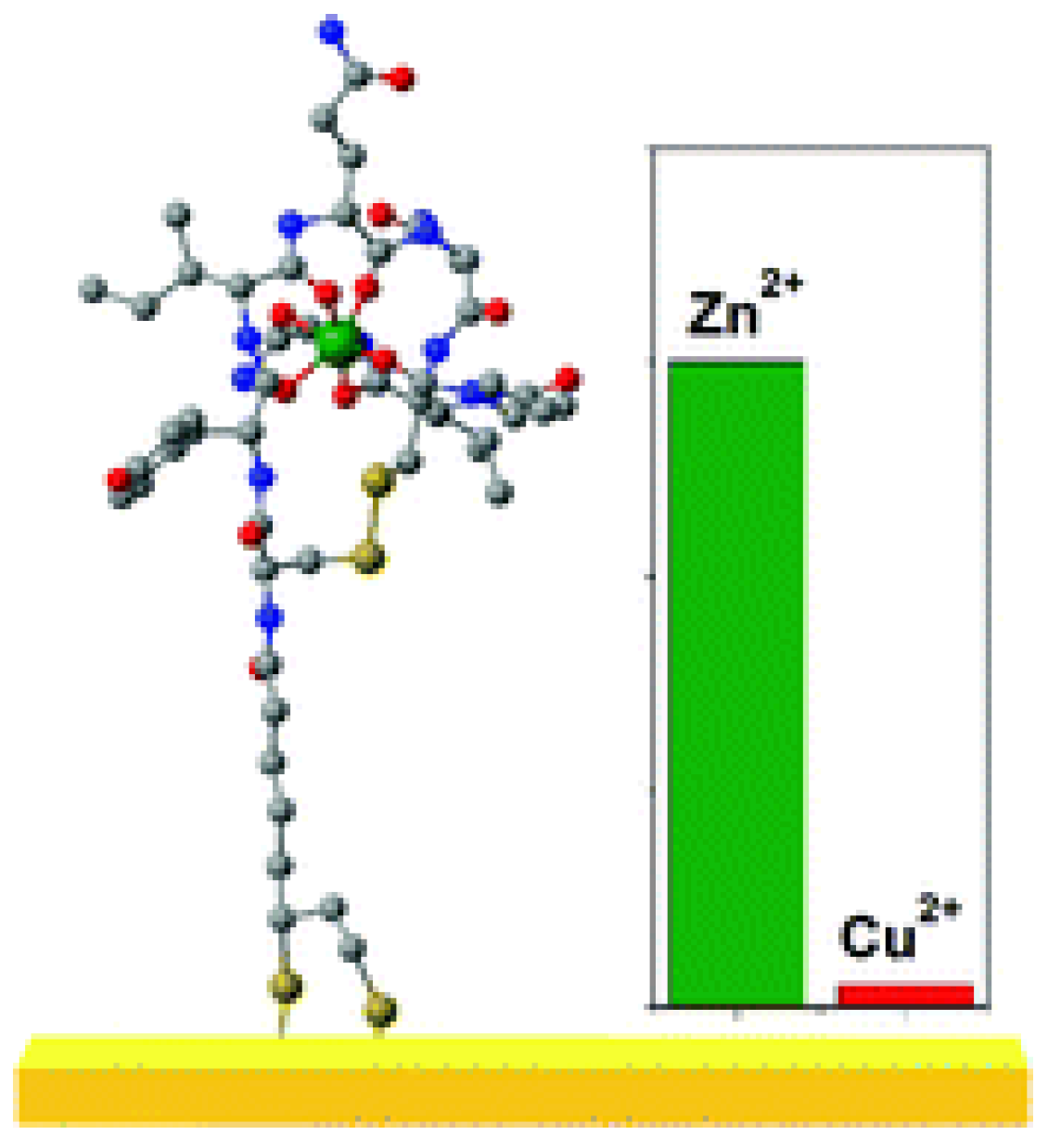 Biotech 13 00009 g005