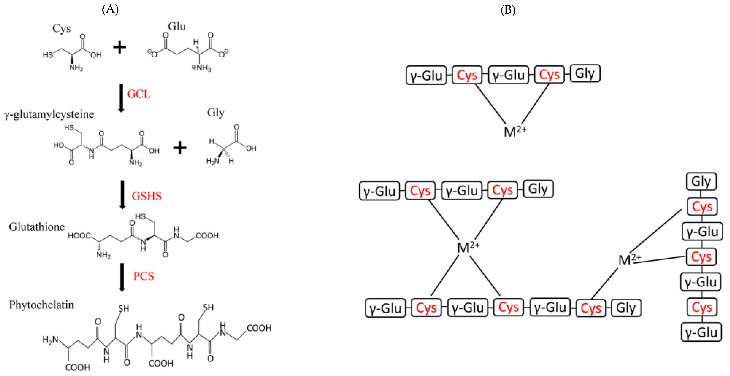 Biotech 13 00009 g006