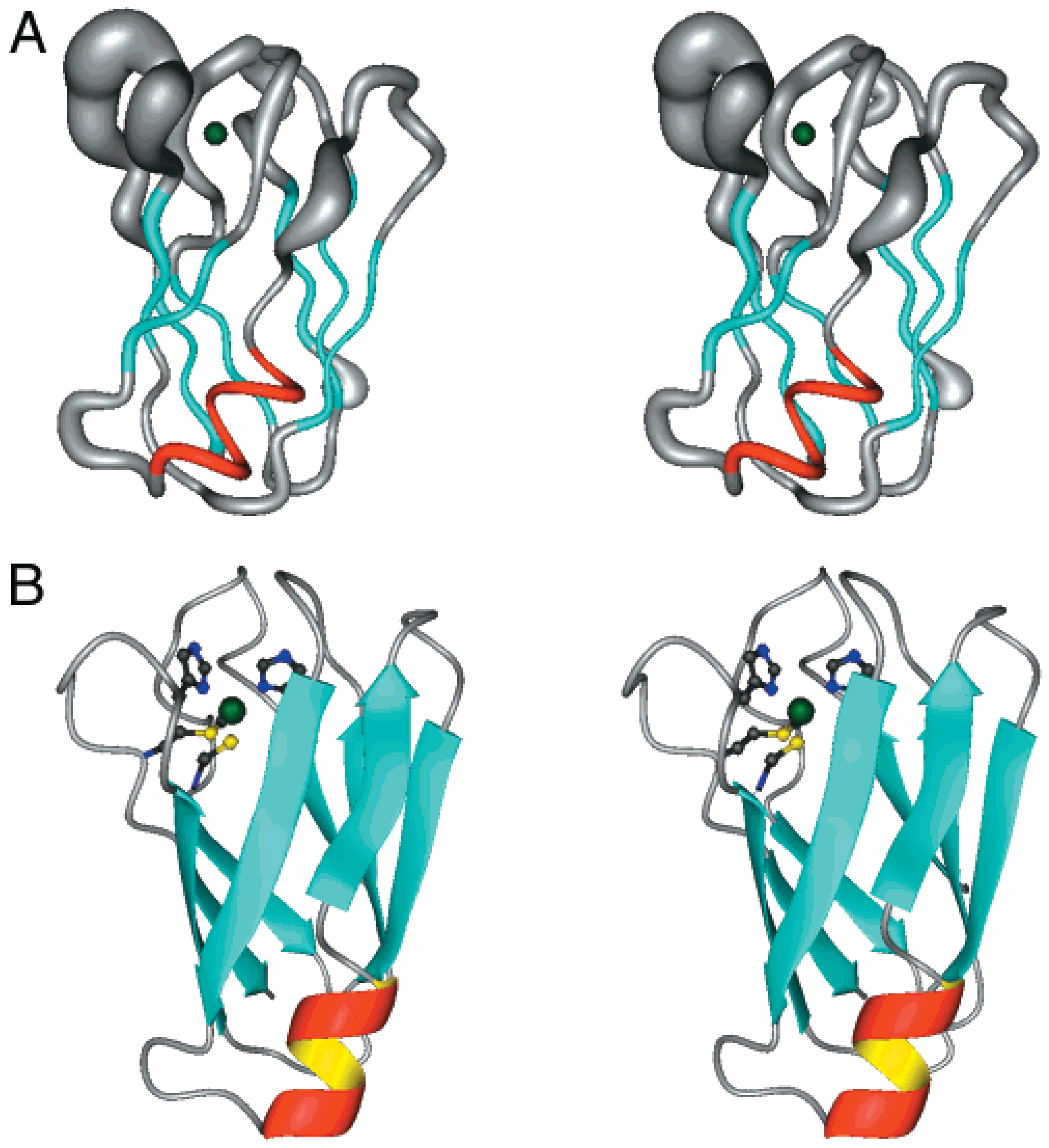 Biotech 13 00009 g009