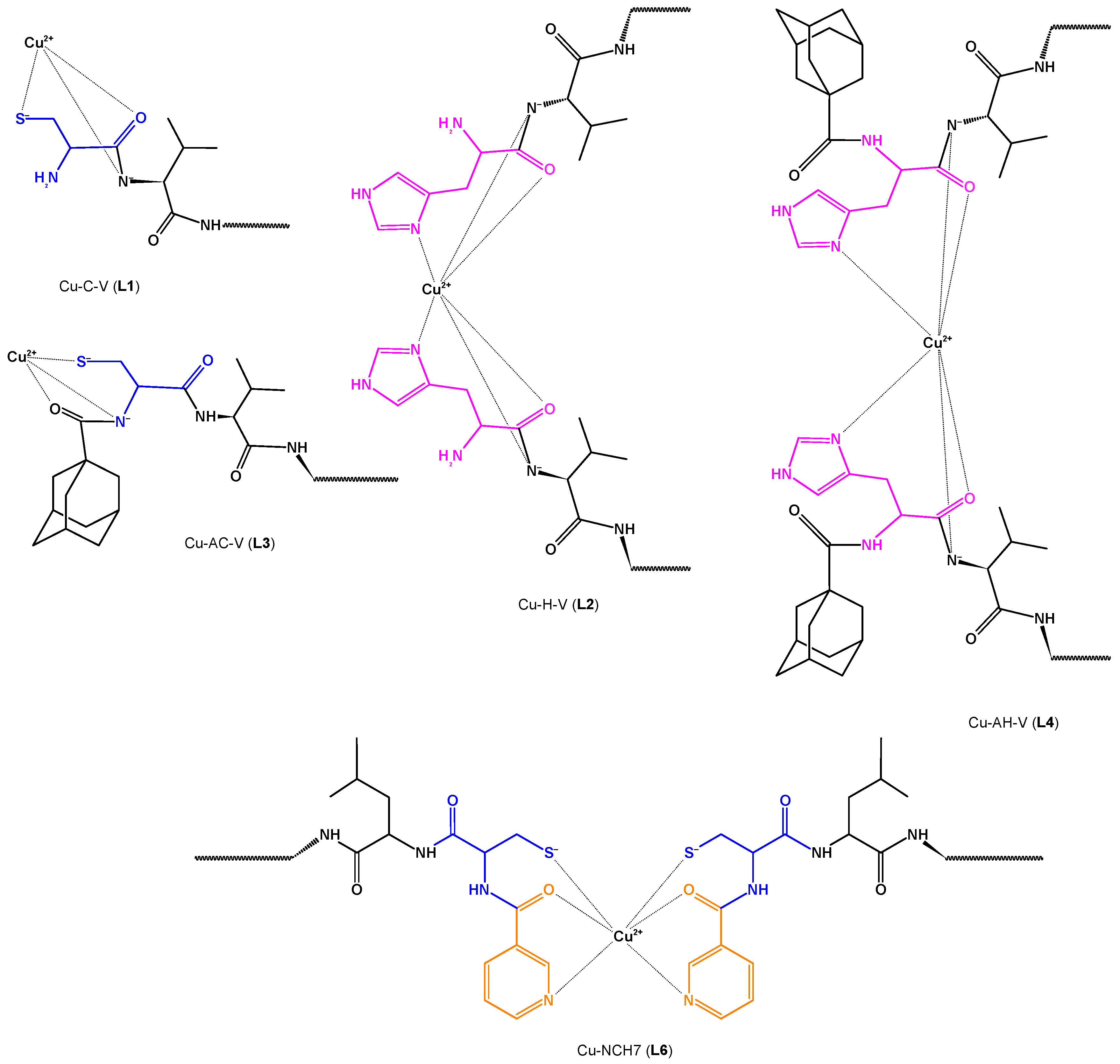 Biotech 13 00009 g011