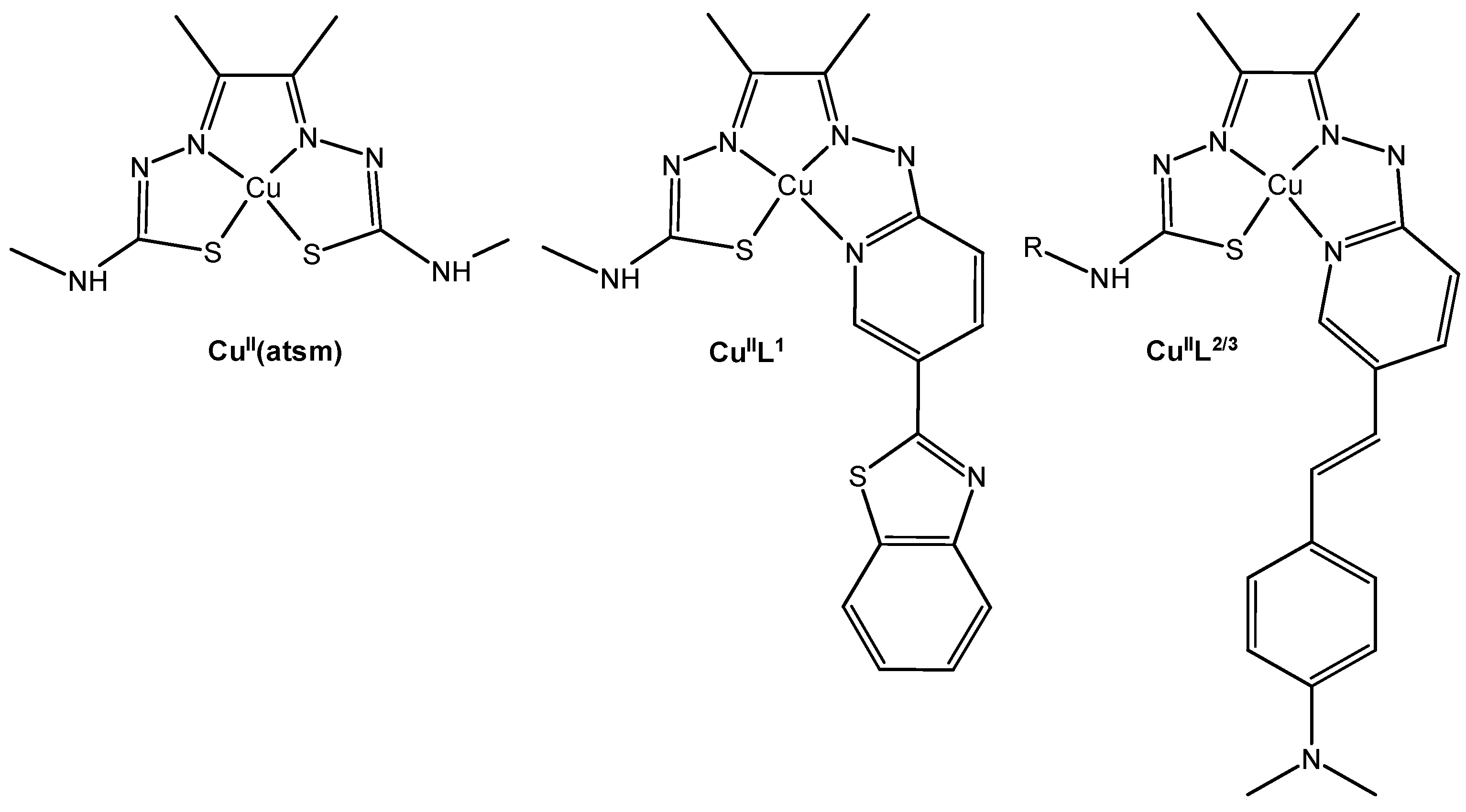 Biotech 13 00009 g012