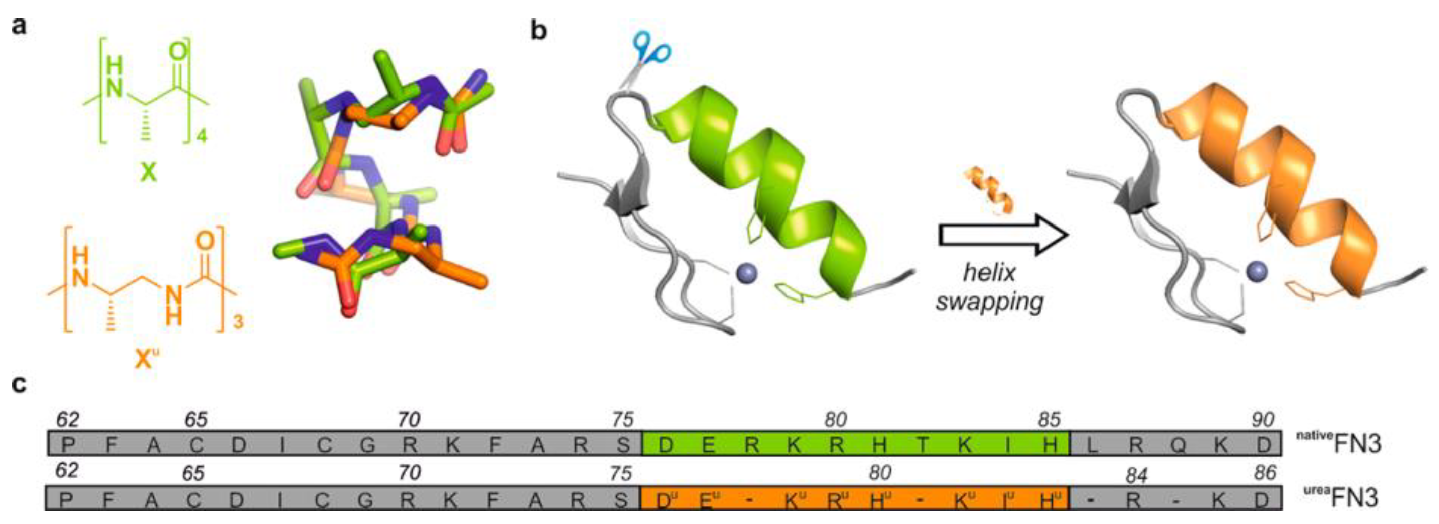 Biotech 13 00009 g013