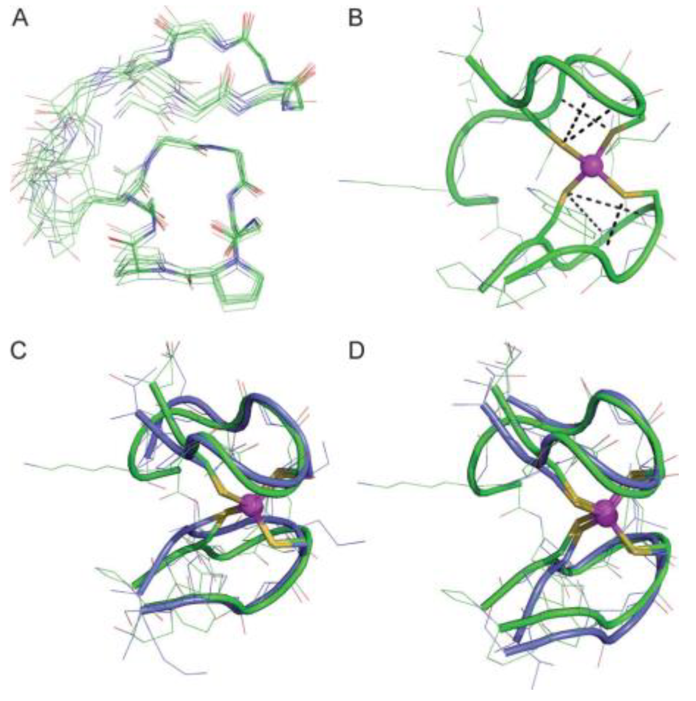 Biotech 13 00009 g014