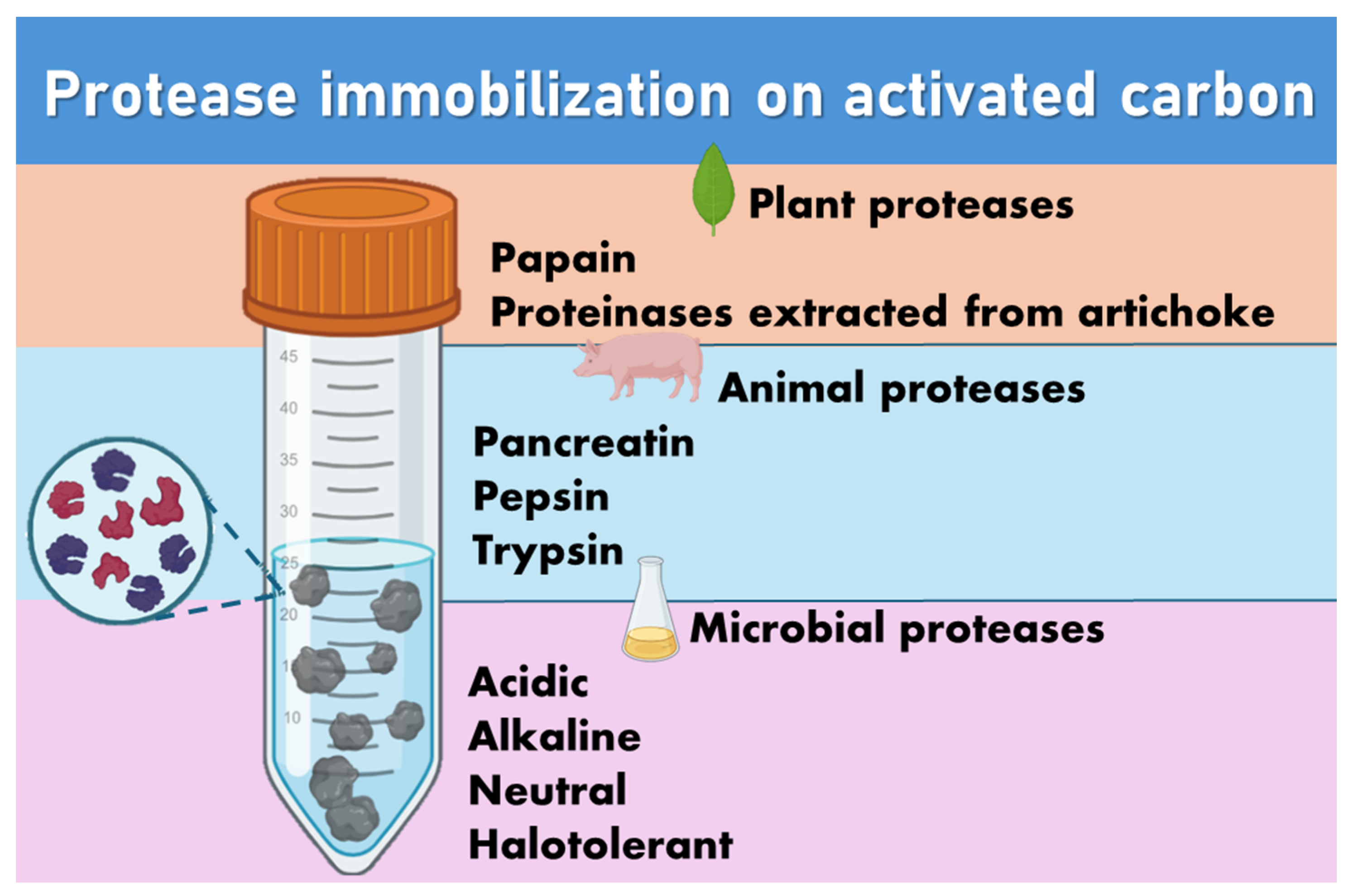 Biotech 13 00013 g003 Biotech 13 00013 g003