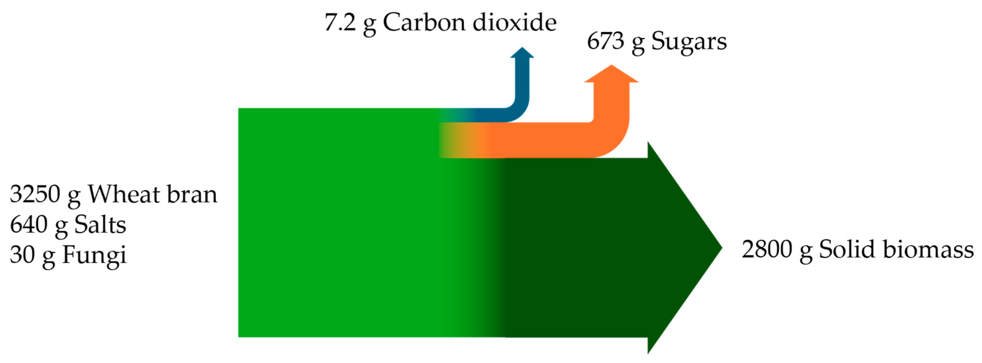Biotech 13 00015 g003