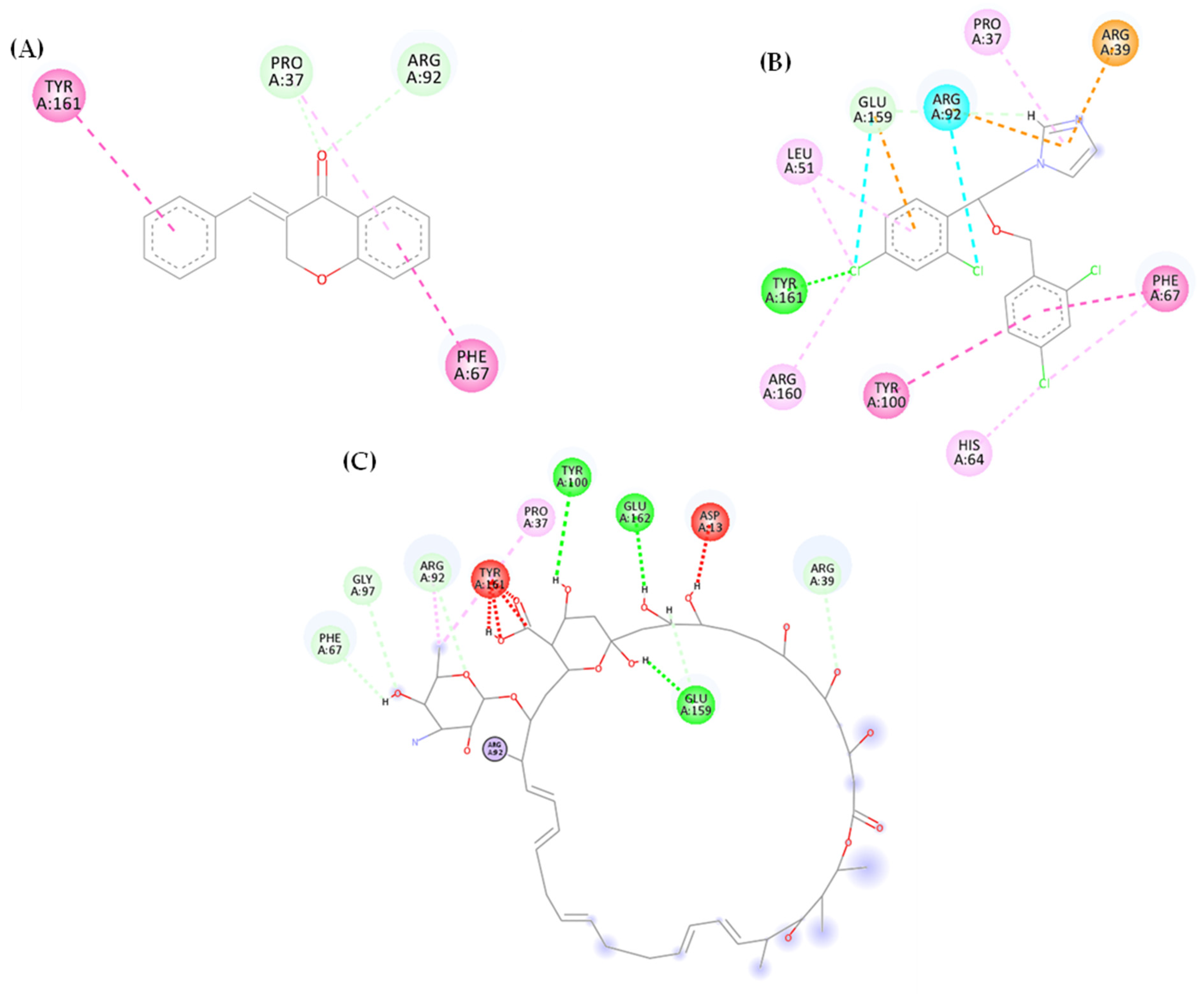 Biotech 13 00016 g003