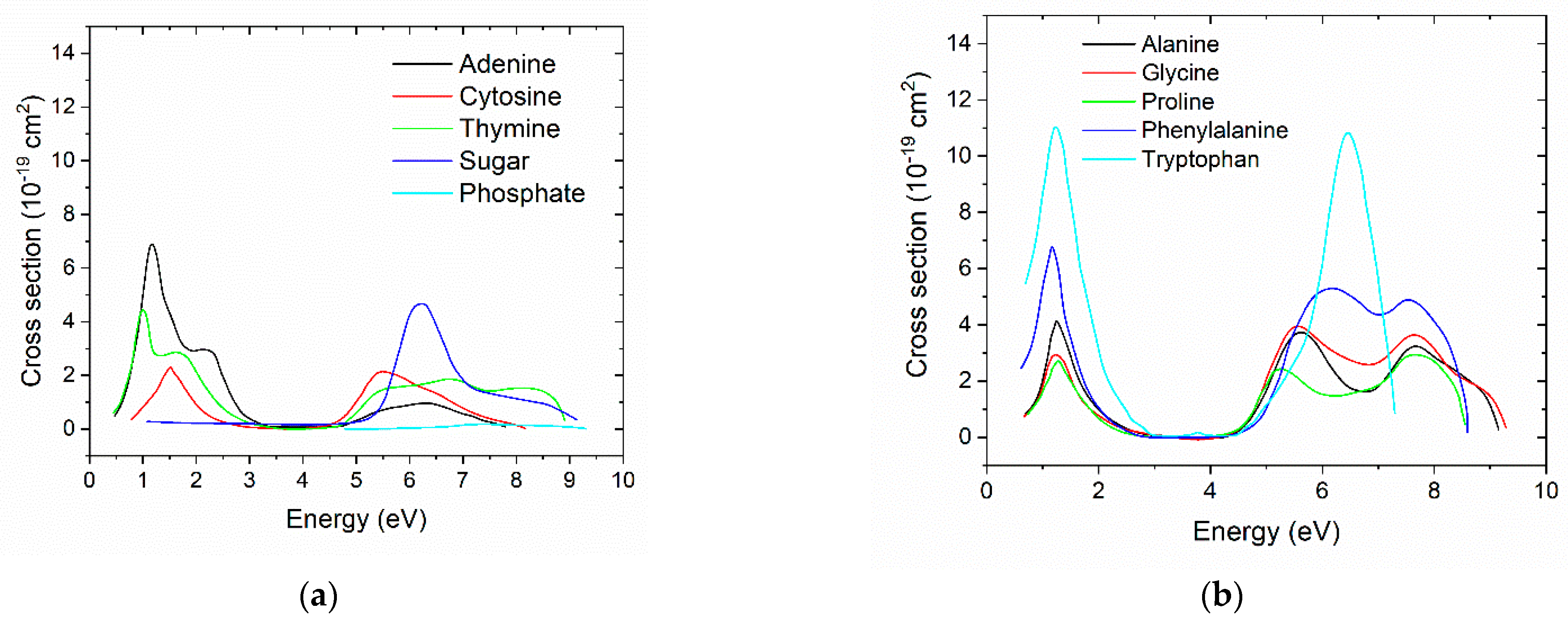 Biotech 13 00017 g001 Biotech 13 00017 g001